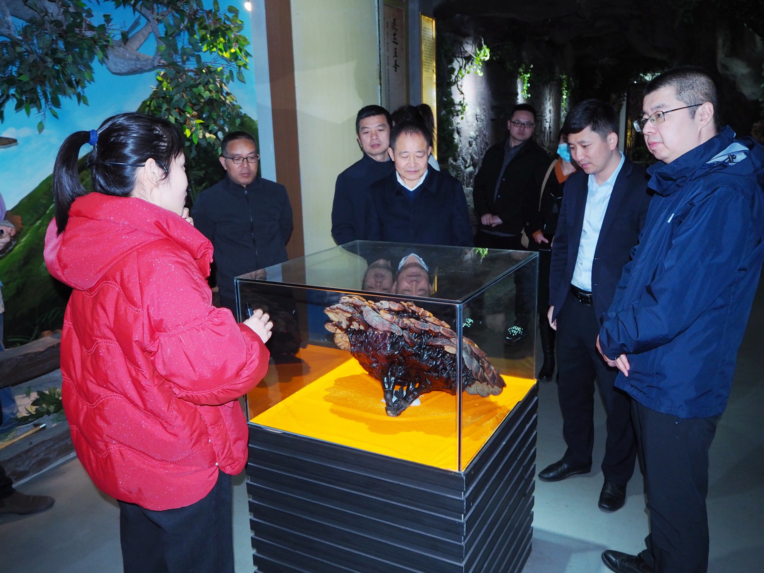 杭州亞運會官方靈芝產品供應商|杭州亞運會官方供應商|中國靈芝十大品牌|仙客來靈芝|仙客來靈芝破壁孢子粉|仙客來孢子油|仙客來靈芝飲片|仙客來破壁孢子粉|靈芝孢子油|孢子粉|靈芝破壁孢子粉|靈芝|中華老字號 杭州亞運會官方靈芝產品供應商|杭州亞運會官方供應商|中國靈芝十大品牌|仙客來靈芝|仙客來靈芝破壁孢子粉|仙客來孢子油|仙客來靈芝飲片|仙客來破壁孢子粉|靈芝孢子油|孢子粉|靈芝破壁孢子粉|靈芝|中華老字號