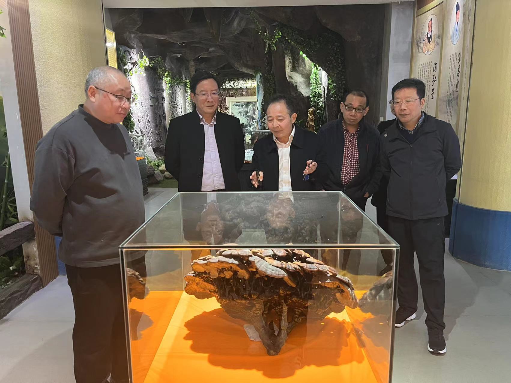 杭州亞運(yùn)會(huì)官方靈芝產(chǎn)品供應(yīng)商|杭州亞運(yùn)會(huì)官方供應(yīng)商|中國(guó)靈芝十大品牌|仙客來靈芝|仙客來靈芝破壁孢子粉|仙客來孢子油|仙客來靈芝飲片|仙客來破壁孢子粉|靈芝孢子油|孢子粉|靈芝破壁孢子粉|靈芝|中華老字號(hào)