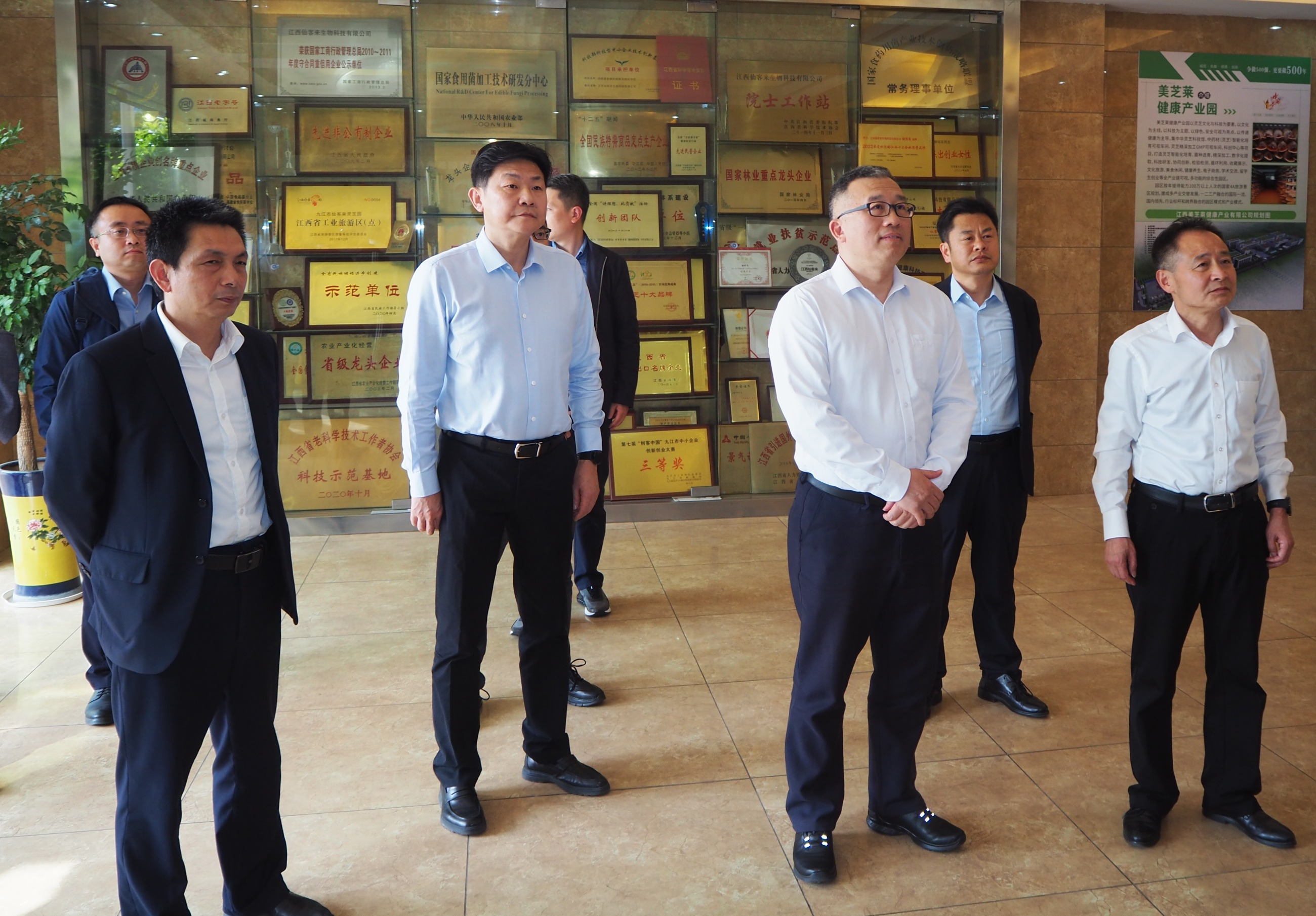 杭州亞運會官方靈芝產(chǎn)品供應商|杭州亞運會官方供應商|中國靈芝十大品牌|仙客來靈芝|仙客來靈芝破壁孢子粉|仙客來孢子油|仙客來靈芝飲片|仙客來破壁孢子粉|靈芝孢子油|孢子粉|靈芝破壁孢子粉|靈芝|中華老字號