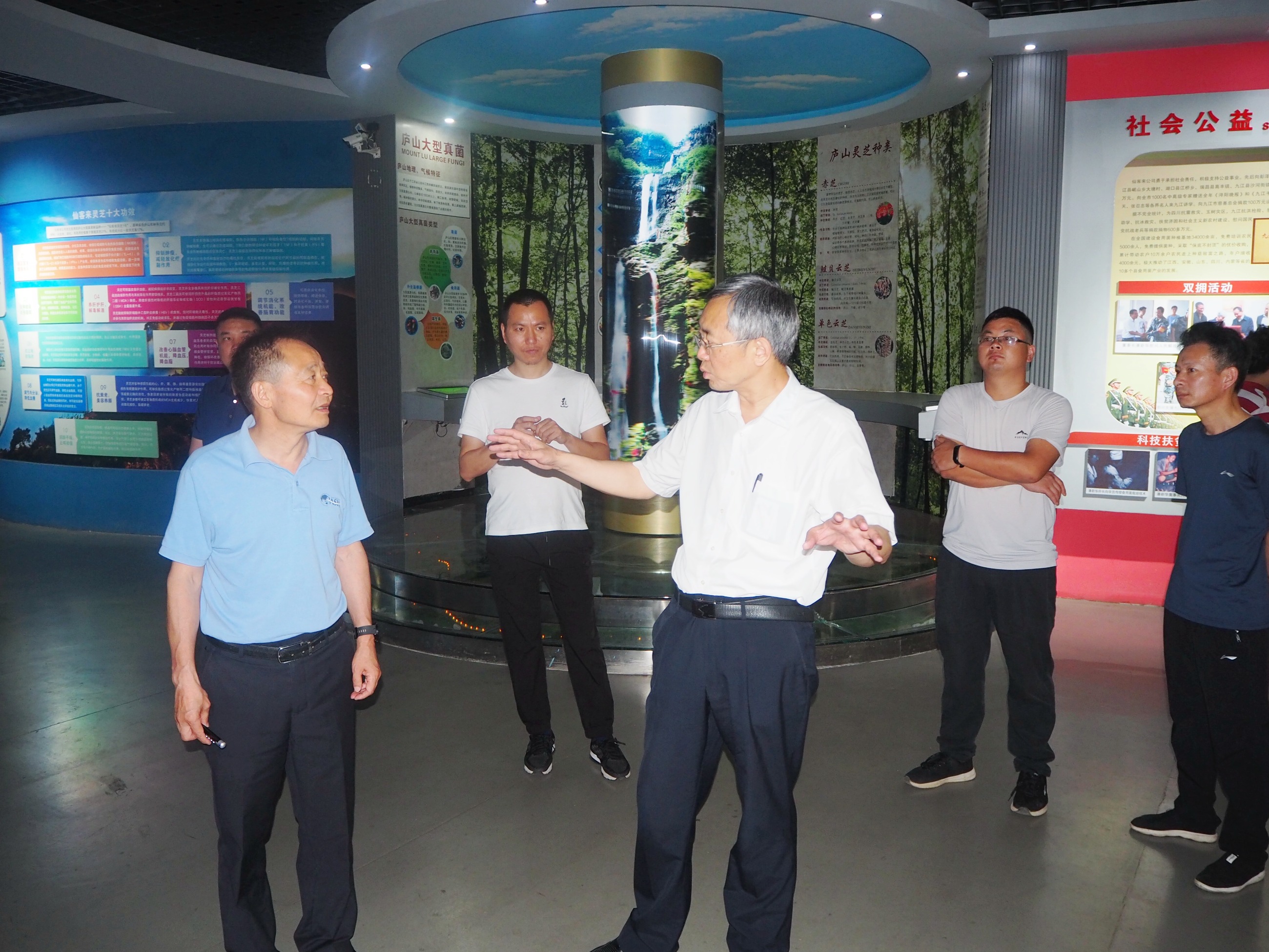 杭州亞運(yùn)會(huì)官方靈芝產(chǎn)品供應(yīng)商|杭州亞運(yùn)會(huì)官方供應(yīng)商|中國(guó)靈芝十大品牌|仙客來靈芝|仙客來靈芝破壁孢子粉|仙客來孢子油|仙客來靈芝飲片|仙客來破壁孢子粉|靈芝孢子油|孢子粉|靈芝破壁孢子粉|靈芝|中華老字號(hào)