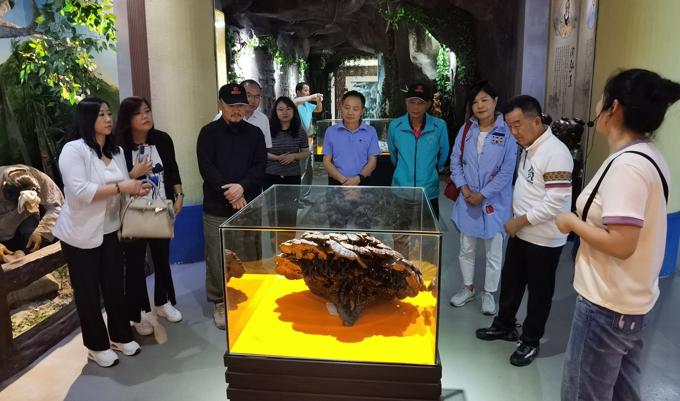 杭州亞運會官方靈芝產(chǎn)品供應商|杭州亞運會官方供應商|中國靈芝十大品牌|仙客來靈芝|仙客來靈芝破壁孢子粉|仙客來孢子油|仙客來靈芝飲片|仙客來破壁孢子粉|靈芝孢子油|孢子粉|靈芝破壁孢子粉|靈芝|中華老字號