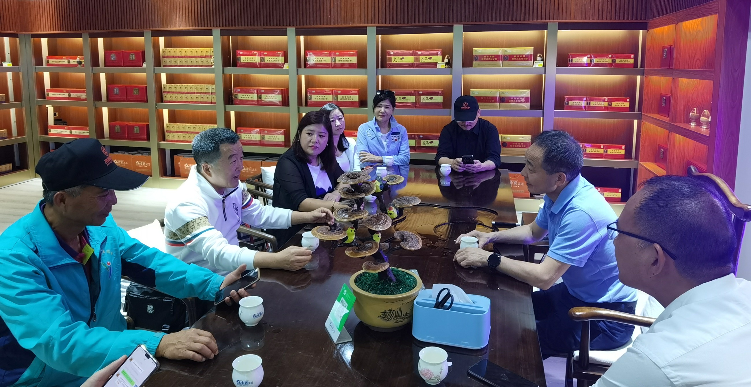 杭州亞運會官方靈芝產(chǎn)品供應商|杭州亞運會官方供應商|中國靈芝十大品牌|仙客來靈芝|仙客來靈芝破壁孢子粉|仙客來孢子油|仙客來靈芝飲片|仙客來破壁孢子粉|靈芝孢子油|孢子粉|靈芝破壁孢子粉|靈芝|中華老字號