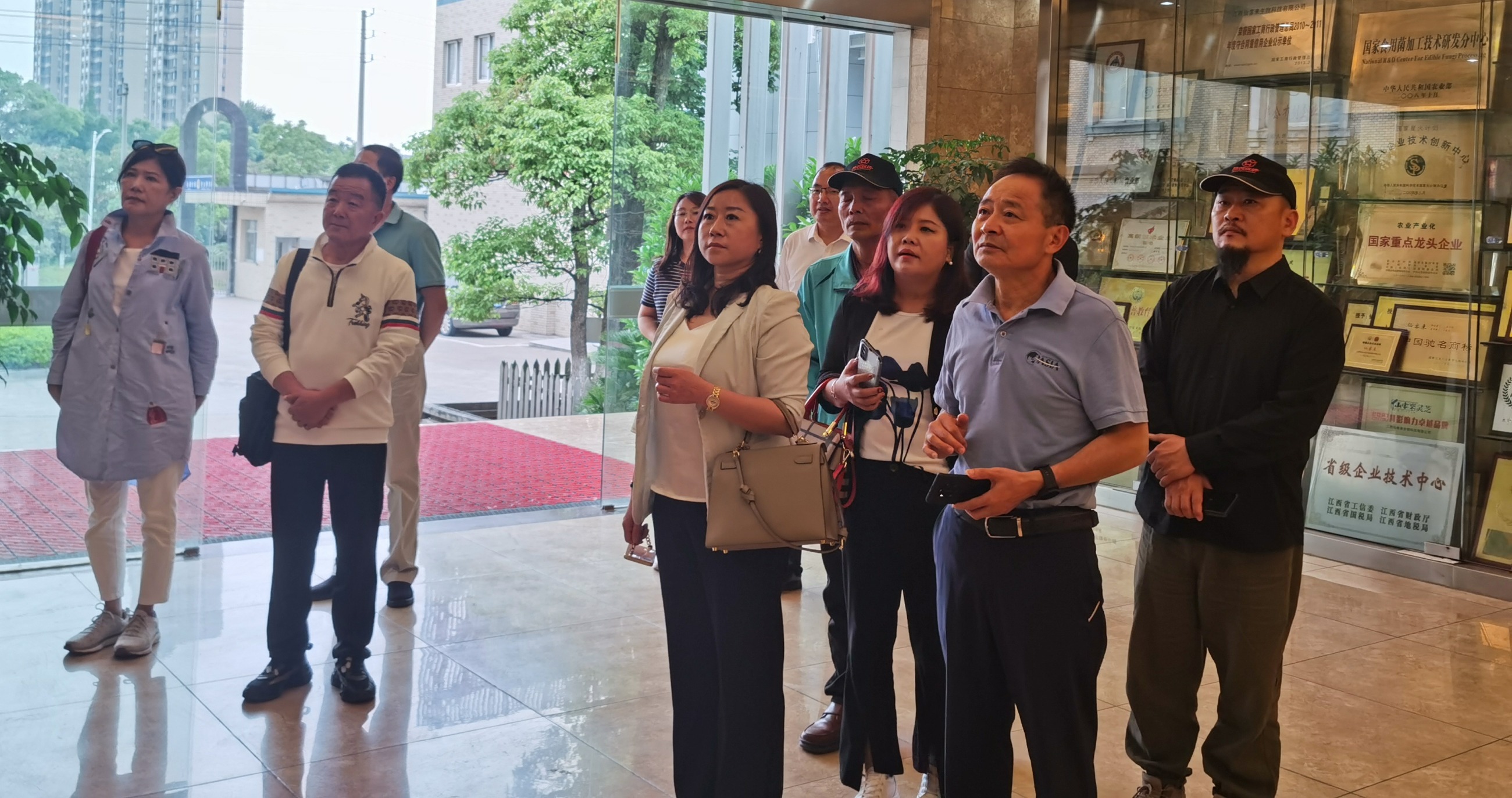 杭州亞運會官方靈芝產(chǎn)品供應商|杭州亞運會官方供應商|中國靈芝十大品牌|仙客來靈芝|仙客來靈芝破壁孢子粉|仙客來孢子油|仙客來靈芝飲片|仙客來破壁孢子粉|靈芝孢子油|孢子粉|靈芝破壁孢子粉|靈芝|中華老字號