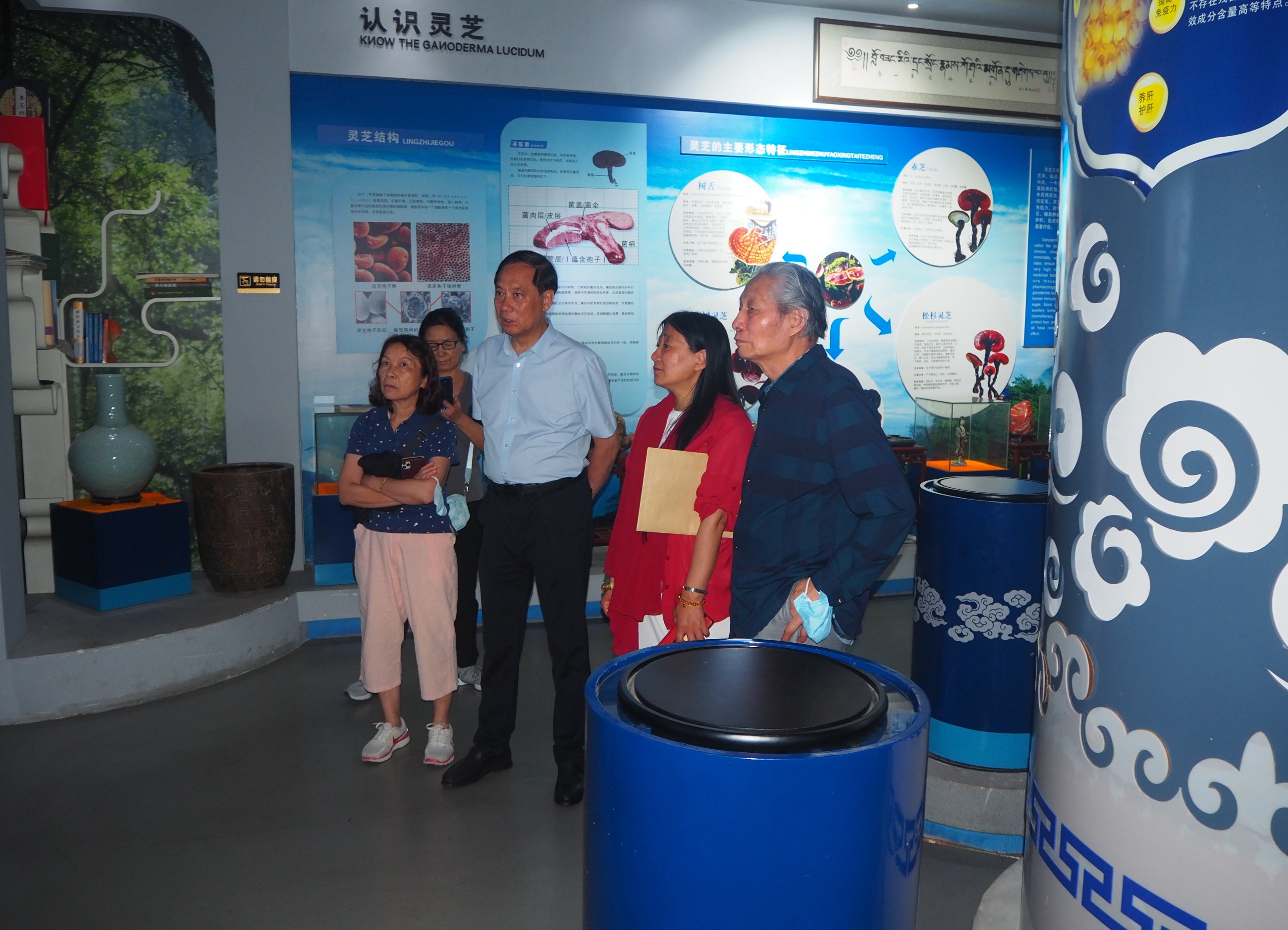 杭州亞運(yùn)會(huì)官方靈芝產(chǎn)品供應(yīng)商|杭州亞運(yùn)會(huì)官方供應(yīng)商|中國(guó)靈芝十大品牌|仙客來靈芝|仙客來靈芝破壁孢子粉|仙客來孢子油|仙客來靈芝飲片|仙客來破壁孢子粉|靈芝孢子油|孢子粉|靈芝破壁孢子粉|靈芝|中華老字號(hào)