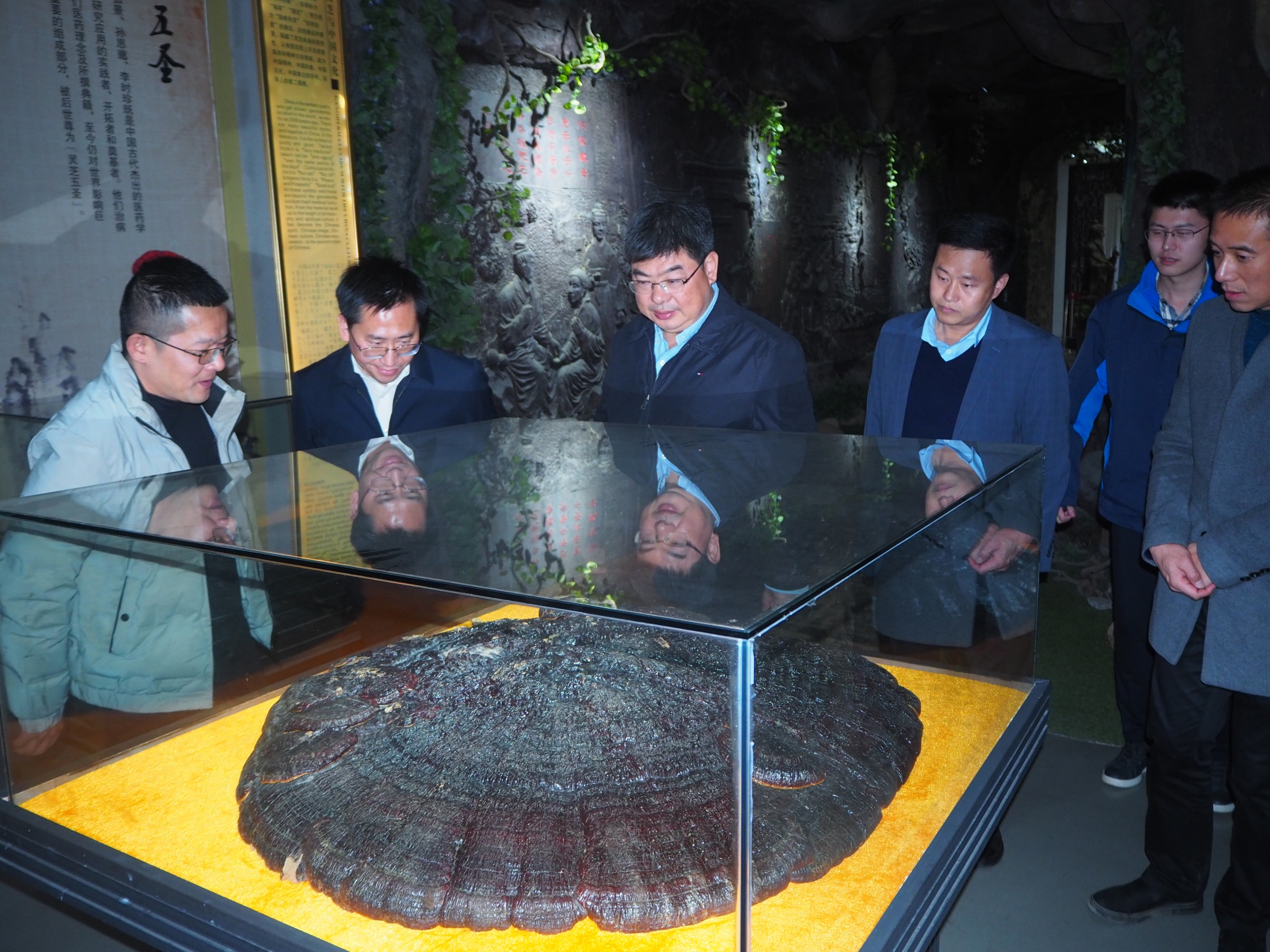 杭州亞運(yùn)會(huì)官方靈芝產(chǎn)品供應(yīng)商|杭州亞運(yùn)會(huì)官方供應(yīng)商|中國靈芝十大品牌|仙客來靈芝|仙客來靈芝破壁孢子粉|仙客來孢子油|仙客來靈芝飲片|仙客來破壁孢子粉|靈芝孢子油|孢子粉|靈芝破壁孢子粉|靈芝|中華老字號(hào)