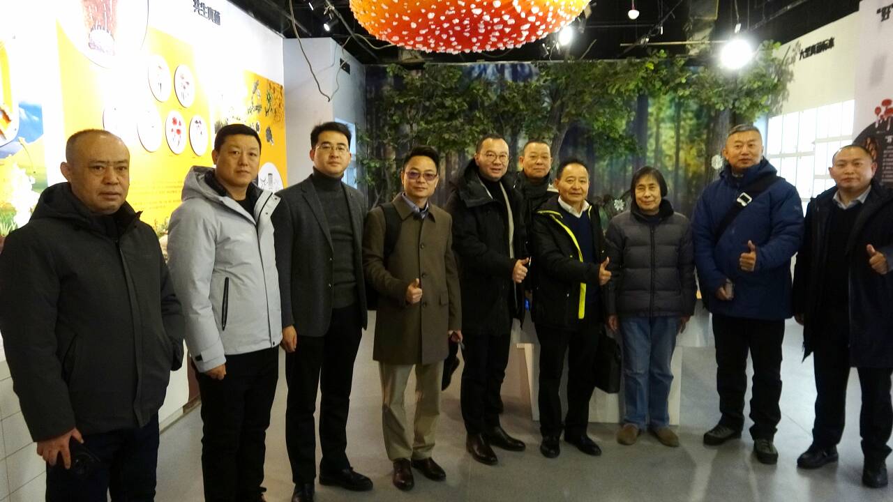 杭州亞運(yùn)會(huì)官方靈芝產(chǎn)品供應(yīng)商|杭州亞運(yùn)會(huì)官方供應(yīng)商|中國靈芝十大品牌|仙客來靈芝|仙客來靈芝破壁孢子粉|仙客來孢子油|仙客來靈芝飲片|仙客來破壁孢子粉|靈芝孢子油|孢子粉|靈芝破壁孢子粉|靈芝|中華老字號(hào) 杭州亞運(yùn)會(huì)官方靈芝產(chǎn)品供應(yīng)商|杭州亞運(yùn)會(huì)官方供應(yīng)商|中國靈芝十大品牌|仙客來靈芝|仙客來靈芝破壁孢子粉|仙客來孢子油|仙客來靈芝飲片|仙客來破壁孢子粉|靈芝孢子油|孢子粉|靈芝破壁孢子粉|靈芝|中華老字號(hào)