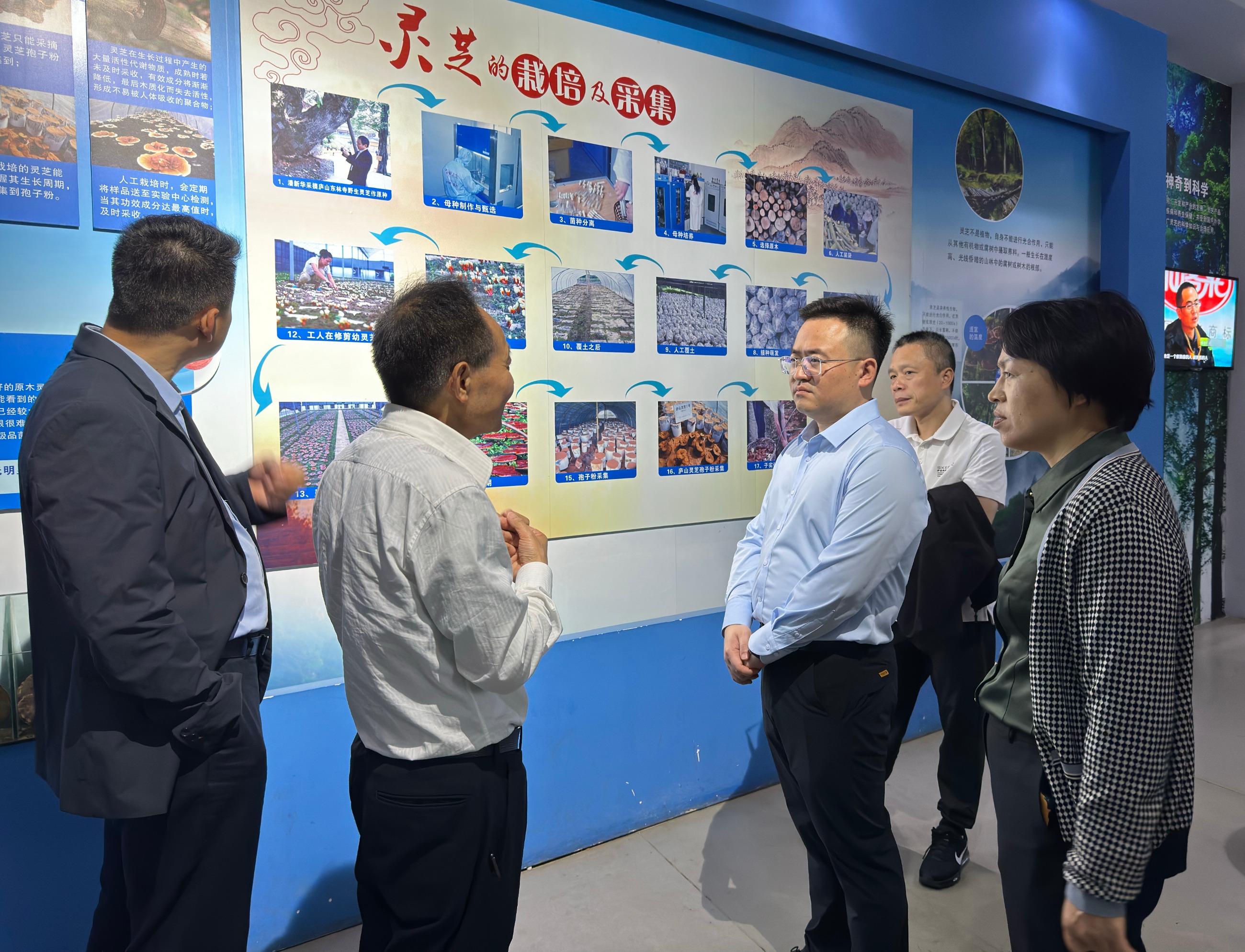 杭州亞運(yùn)會(huì)官方靈芝產(chǎn)品供應(yīng)商|杭州亞運(yùn)會(huì)官方供應(yīng)商|中國(guó)靈芝十大品牌|仙客來靈芝|仙客來靈芝破壁孢子粉|仙客來孢子油|仙客來靈芝飲片|仙客來破壁孢子粉|靈芝孢子油|孢子粉|靈芝破壁孢子粉|靈芝|中華老字號(hào) 杭州亞運(yùn)會(huì)官方靈芝產(chǎn)品供應(yīng)商|杭州亞運(yùn)會(huì)官方供應(yīng)商|中國(guó)靈芝十大品牌|仙客來靈芝|仙客來靈芝破壁孢子粉|仙客來孢子油|仙客來靈芝飲片|仙客來破壁孢子粉|靈芝孢子油|孢子粉|靈芝破壁孢子粉|靈芝|中華老字號(hào)