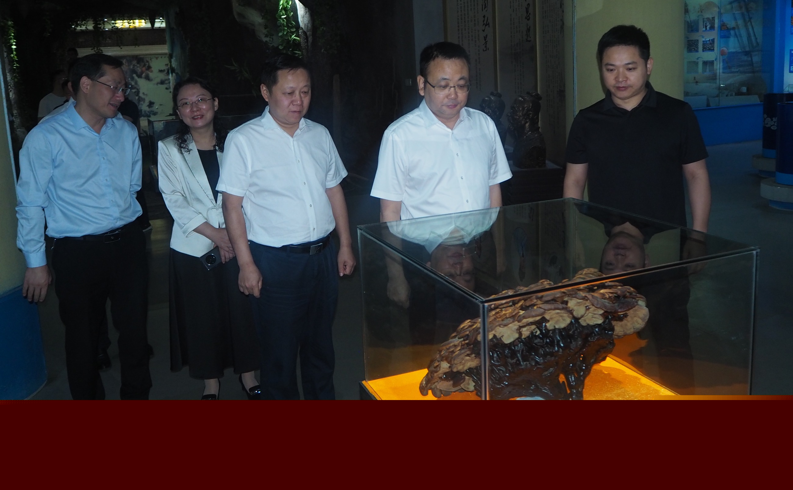 杭州亞運(yùn)會官方靈芝產(chǎn)品供應(yīng)商|杭州亞運(yùn)會官方供應(yīng)商|中國靈芝十大品牌|仙客來靈芝|仙客來靈芝破壁孢子粉|仙客來孢子油|仙客來靈芝飲片|仙客來破壁孢子粉|靈芝孢子油|孢子粉|靈芝破壁孢子粉|靈芝|中華老字號 杭州亞運(yùn)會官方靈芝產(chǎn)品供應(yīng)商|杭州亞運(yùn)會官方供應(yīng)商|中國靈芝十大品牌|仙客來靈芝|仙客來靈芝破壁孢子粉|仙客來孢子油|仙客來靈芝飲片|仙客來破壁孢子粉|靈芝孢子油|孢子粉|靈芝破壁孢子粉|靈芝|中華老字號