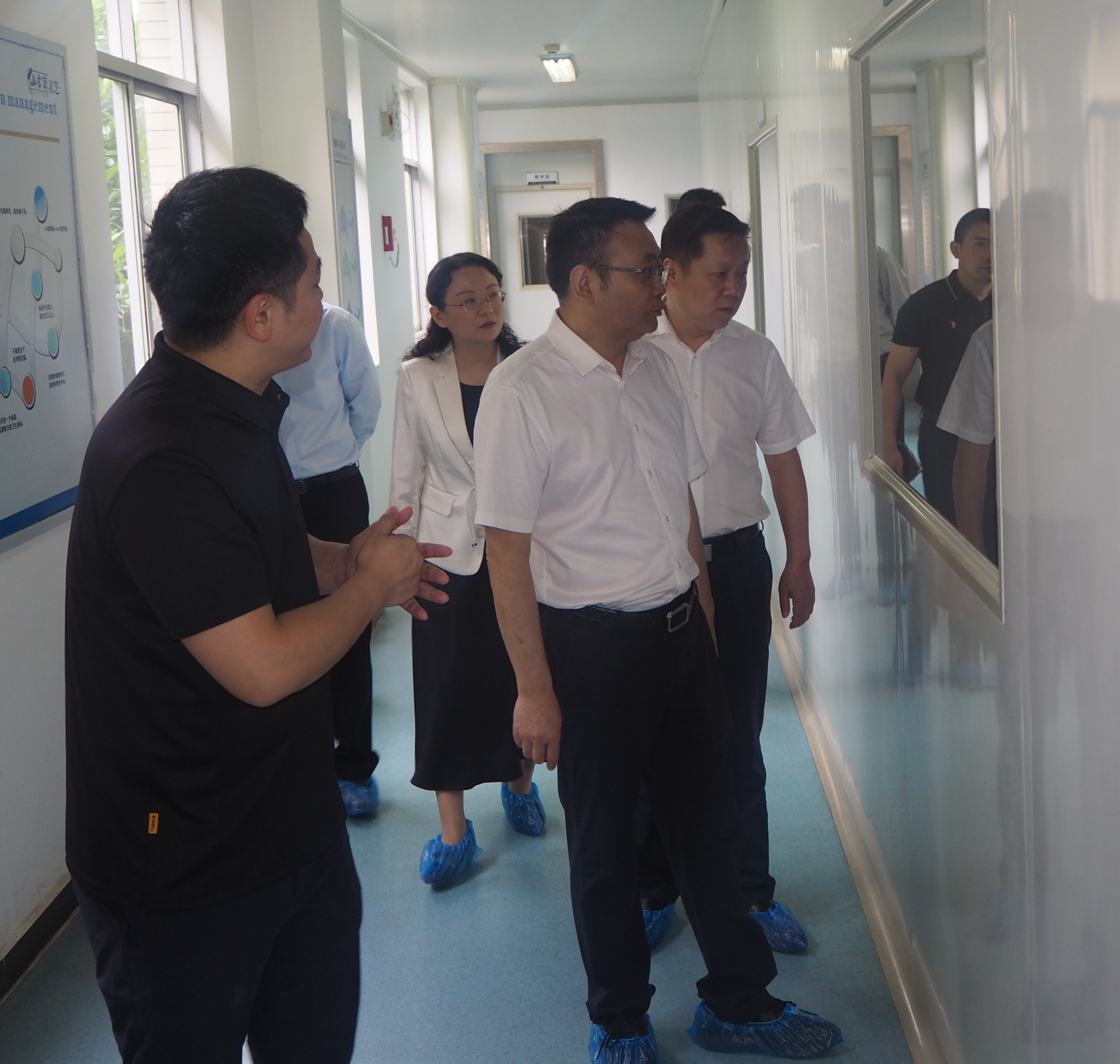 杭州亞運(yùn)會官方靈芝產(chǎn)品供應(yīng)商|杭州亞運(yùn)會官方供應(yīng)商|中國靈芝十大品牌|仙客來靈芝|仙客來靈芝破壁孢子粉|仙客來孢子油|仙客來靈芝飲片|仙客來破壁孢子粉|靈芝孢子油|孢子粉|靈芝破壁孢子粉|靈芝|中華老字號 杭州亞運(yùn)會官方靈芝產(chǎn)品供應(yīng)商|杭州亞運(yùn)會官方供應(yīng)商|中國靈芝十大品牌|仙客來靈芝|仙客來靈芝破壁孢子粉|仙客來孢子油|仙客來靈芝飲片|仙客來破壁孢子粉|靈芝孢子油|孢子粉|靈芝破壁孢子粉|靈芝|中華老字號