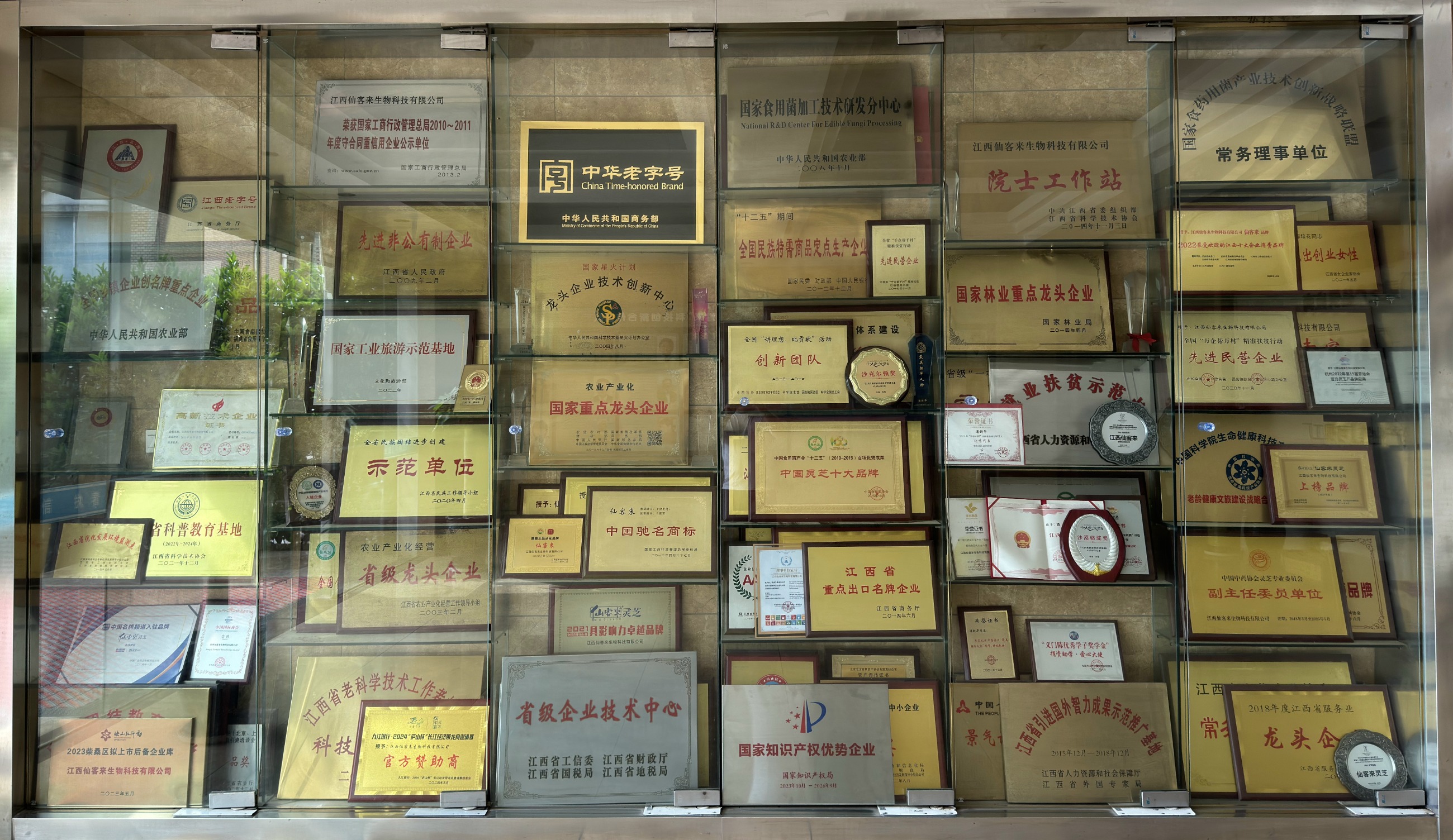 杭州亞運(yùn)會(huì)官方靈芝產(chǎn)品供應(yīng)商|杭州亞運(yùn)會(huì)官方供應(yīng)商|中國(guó)靈芝十大品牌|仙客來靈芝|仙客來靈芝破壁孢子粉|仙客來孢子油|仙客來靈芝飲片|仙客來破壁孢子粉|靈芝孢子油|孢子粉|靈芝破壁孢子粉|靈芝|中華老字號(hào) 杭州亞運(yùn)會(huì)官方靈芝產(chǎn)品供應(yīng)商|杭州亞運(yùn)會(huì)官方供應(yīng)商|中國(guó)靈芝十大品牌|仙客來靈芝|仙客來靈芝破壁孢子粉|仙客來孢子油|仙客來靈芝飲片|仙客來破壁孢子粉|靈芝孢子油|孢子粉|靈芝破壁孢子粉|靈芝|中華老字號(hào)