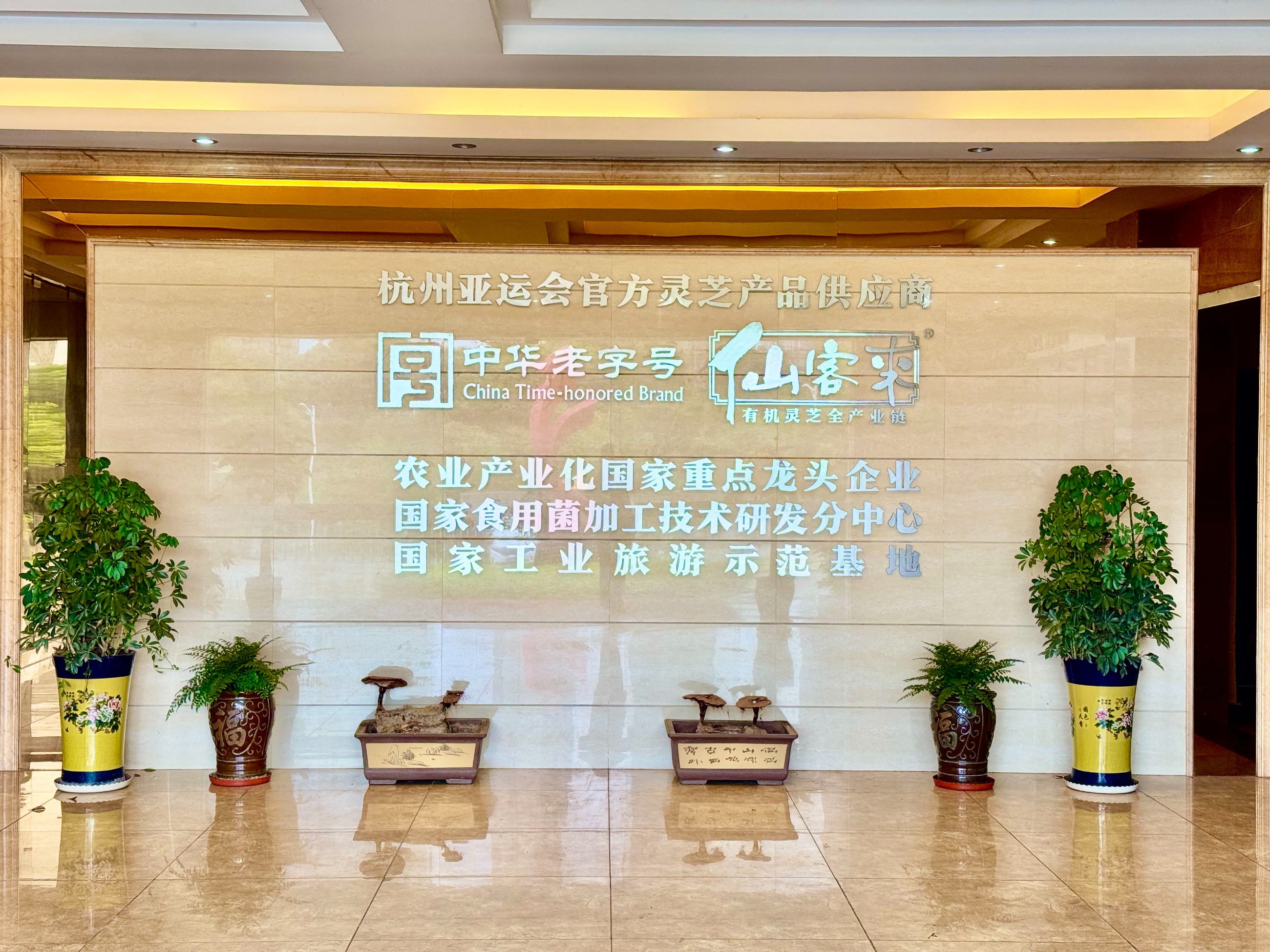 杭州亞運(yùn)會(huì)官方靈芝產(chǎn)品供應(yīng)商|杭州亞運(yùn)會(huì)官方供應(yīng)商|中國靈芝十大品牌|仙客來靈芝|仙客來靈芝破壁孢子粉|仙客來孢子油|仙客來靈芝飲片|仙客來破壁孢子粉|靈芝孢子油|孢子粉|靈芝破壁孢子粉|靈芝|中華老字號(hào) 杭州亞運(yùn)會(huì)官方靈芝產(chǎn)品供應(yīng)商|杭州亞運(yùn)會(huì)官方供應(yīng)商|中國靈芝十大品牌|仙客來靈芝|仙客來靈芝破壁孢子粉|仙客來孢子油|仙客來靈芝飲片|仙客來破壁孢子粉|靈芝孢子油|孢子粉|靈芝破壁孢子粉|靈芝|中華老字號(hào)