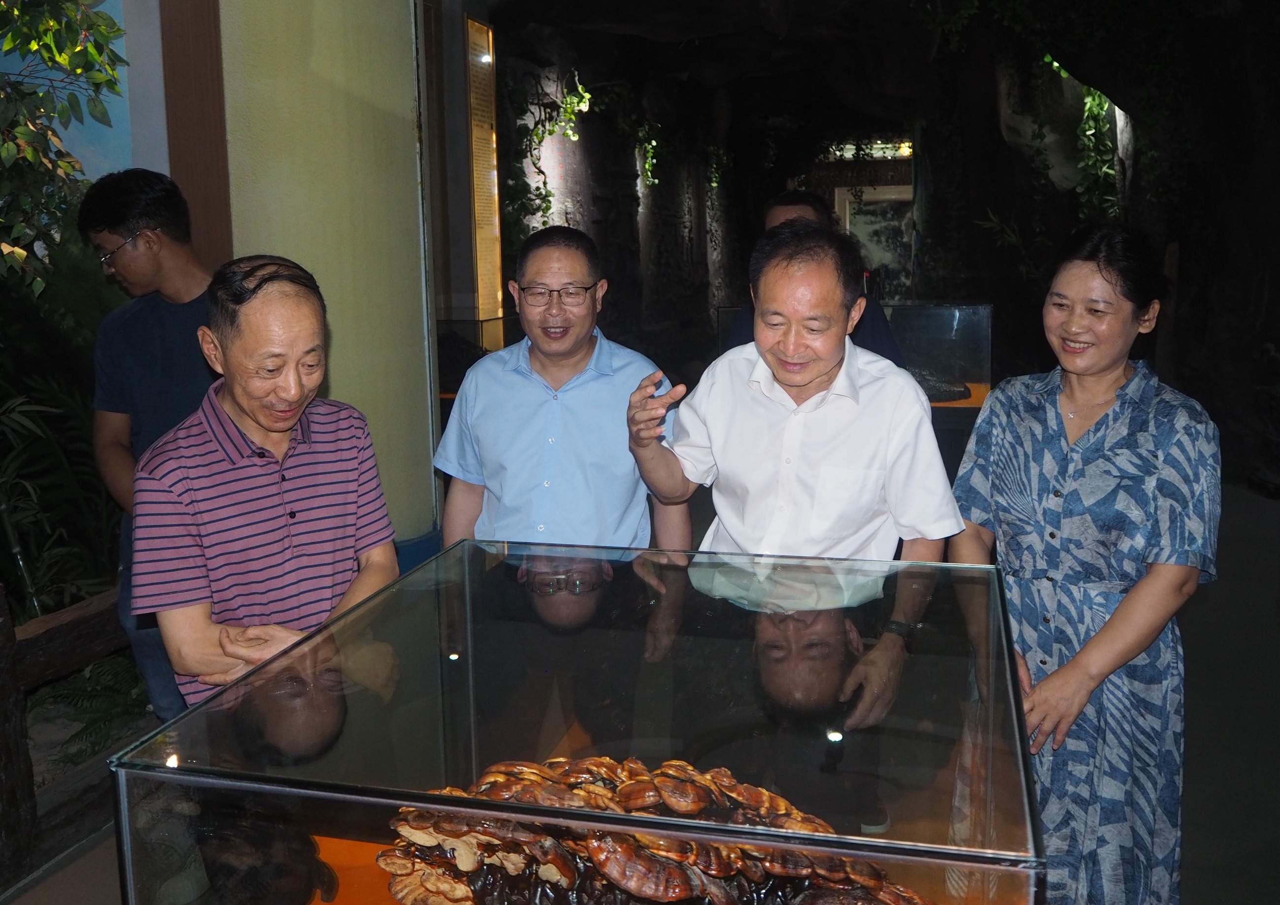 杭州亞運會官方靈芝產(chǎn)品供應(yīng)商|杭州亞運會官方供應(yīng)商|中國靈芝十大品牌|仙客來靈芝|仙客來靈芝破壁孢子粉|仙客來孢子油|仙客來靈芝飲片|仙客來破壁孢子粉|靈芝孢子油|孢子粉|靈芝破壁孢子粉|靈芝|中華老字號