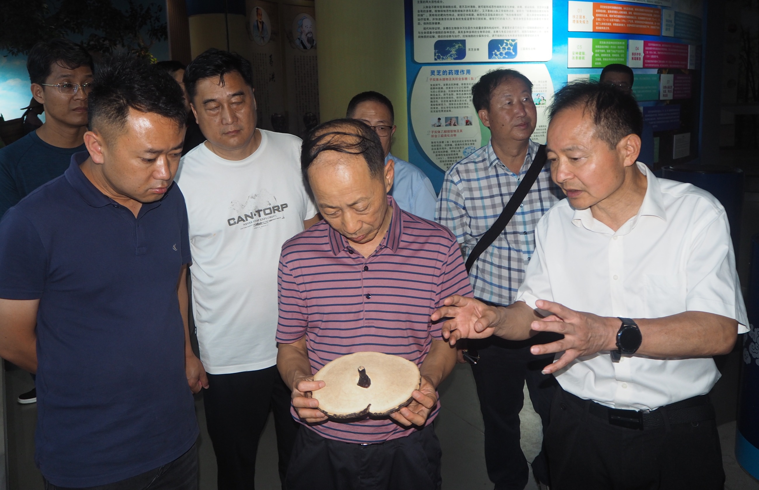 杭州亞運會官方靈芝產(chǎn)品供應(yīng)商|杭州亞運會官方供應(yīng)商|中國靈芝十大品牌|仙客來靈芝|仙客來靈芝破壁孢子粉|仙客來孢子油|仙客來靈芝飲片|仙客來破壁孢子粉|靈芝孢子油|孢子粉|靈芝破壁孢子粉|靈芝|中華老字號