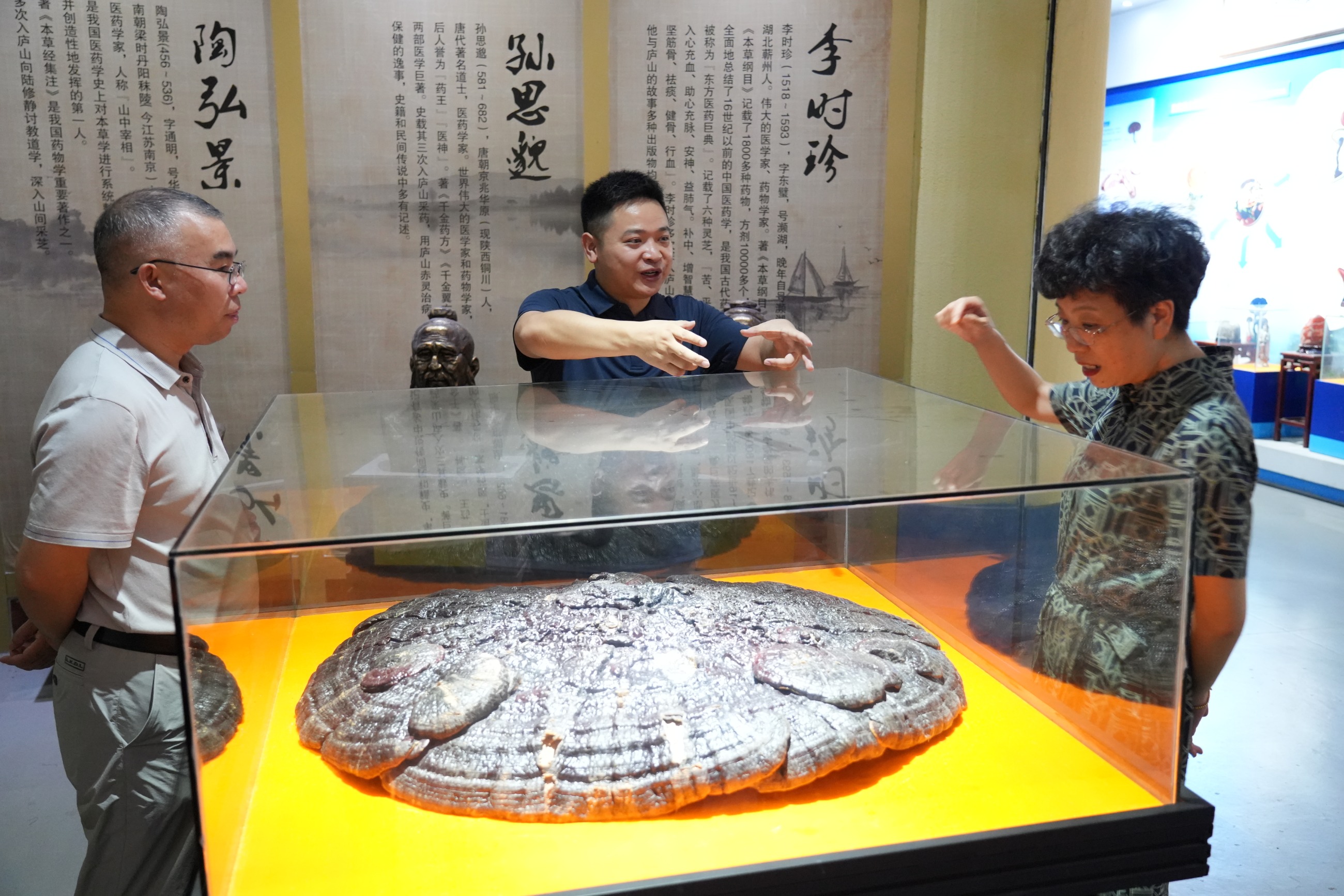 杭州亞運(yùn)會官方靈芝產(chǎn)品供應(yīng)商|杭州亞運(yùn)會官方供應(yīng)商|中國靈芝十大品牌|仙客來靈芝|仙客來靈芝破壁孢子粉|仙客來孢子油|仙客來靈芝飲片|仙客來破壁孢子粉|靈芝孢子油|孢子粉|靈芝破壁孢子粉|靈芝|中華老字號 杭州亞運(yùn)會官方靈芝產(chǎn)品供應(yīng)商|杭州亞運(yùn)會官方供應(yīng)商|中國靈芝十大品牌|仙客來靈芝|仙客來靈芝破壁孢子粉|仙客來孢子油|仙客來靈芝飲片|仙客來破壁孢子粉|靈芝孢子油|孢子粉|靈芝破壁孢子粉|靈芝|中華老字號