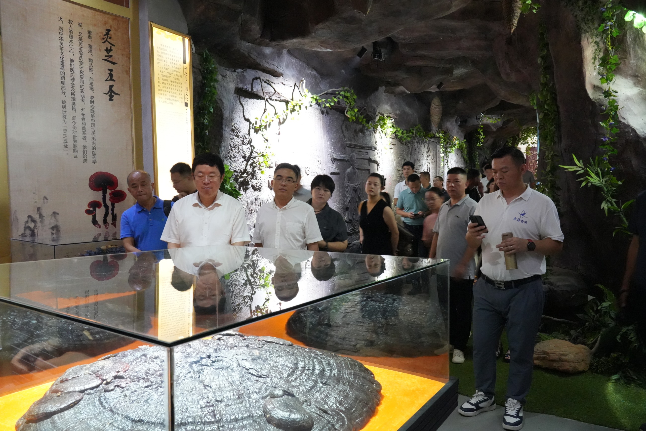 杭州亞運(yùn)會(huì)官方靈芝產(chǎn)品供應(yīng)商|杭州亞運(yùn)會(huì)官方供應(yīng)商|中國靈芝十大品牌|仙客來靈芝|仙客來靈芝破壁孢子粉|仙客來孢子油|仙客來靈芝飲片|仙客來破壁孢子粉|靈芝孢子油|孢子粉|靈芝破壁孢子粉|靈芝|中華老字號(hào) 杭州亞運(yùn)會(huì)官方靈芝產(chǎn)品供應(yīng)商|杭州亞運(yùn)會(huì)官方供應(yīng)商|中國靈芝十大品牌|仙客來靈芝|仙客來靈芝破壁孢子粉|仙客來孢子油|仙客來靈芝飲片|仙客來破壁孢子粉|靈芝孢子油|孢子粉|靈芝破壁孢子粉|靈芝|中華老字號(hào)