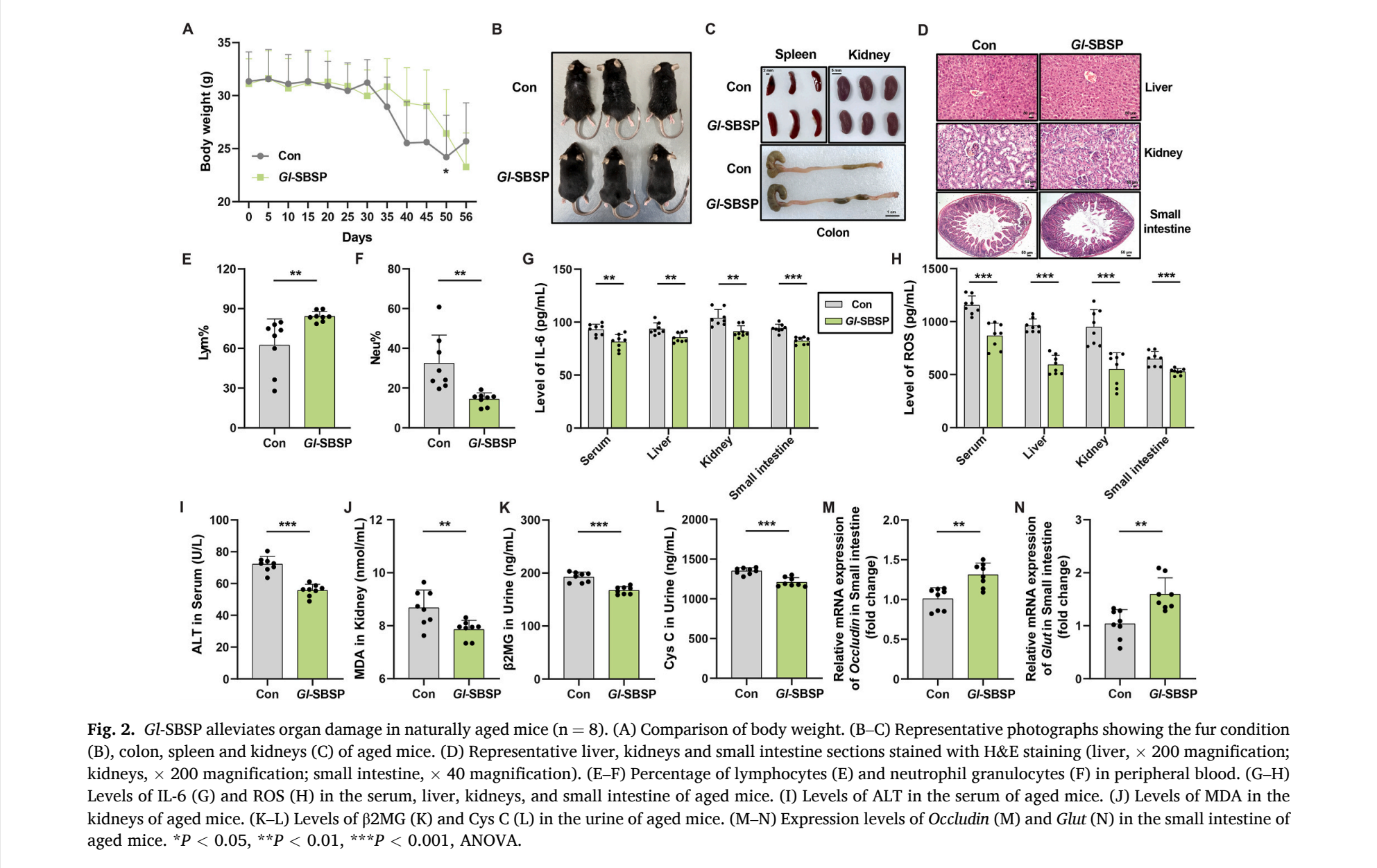 杭州亞運會官方靈芝產(chǎn)品供應(yīng)商|杭州亞運會官方供應(yīng)商|中國靈芝十大品牌|仙客來靈芝|仙客來靈芝破壁孢子粉|仙客來孢子油|仙客來靈芝飲片|仙客來破壁孢子粉|靈芝孢子油|孢子粉|靈芝破壁孢子粉|靈芝|中華老字號 杭州亞運會官方靈芝產(chǎn)品供應(yīng)商|杭州亞運會官方供應(yīng)商|中國靈芝十大品牌|仙客來靈芝|仙客來靈芝破壁孢子粉|仙客來孢子油|仙客來靈芝飲片|仙客來破壁孢子粉|靈芝孢子油|孢子粉|靈芝破壁孢子粉|靈芝|中華老字號