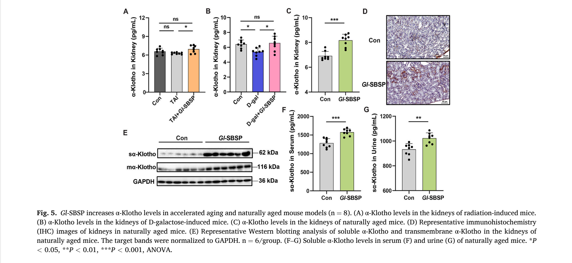 杭州亞運會官方靈芝產(chǎn)品供應(yīng)商|杭州亞運會官方供應(yīng)商|中國靈芝十大品牌|仙客來靈芝|仙客來靈芝破壁孢子粉|仙客來孢子油|仙客來靈芝飲片|仙客來破壁孢子粉|靈芝孢子油|孢子粉|靈芝破壁孢子粉|靈芝|中華老字號 杭州亞運會官方靈芝產(chǎn)品供應(yīng)商|杭州亞運會官方供應(yīng)商|中國靈芝十大品牌|仙客來靈芝|仙客來靈芝破壁孢子粉|仙客來孢子油|仙客來靈芝飲片|仙客來破壁孢子粉|靈芝孢子油|孢子粉|靈芝破壁孢子粉|靈芝|中華老字號