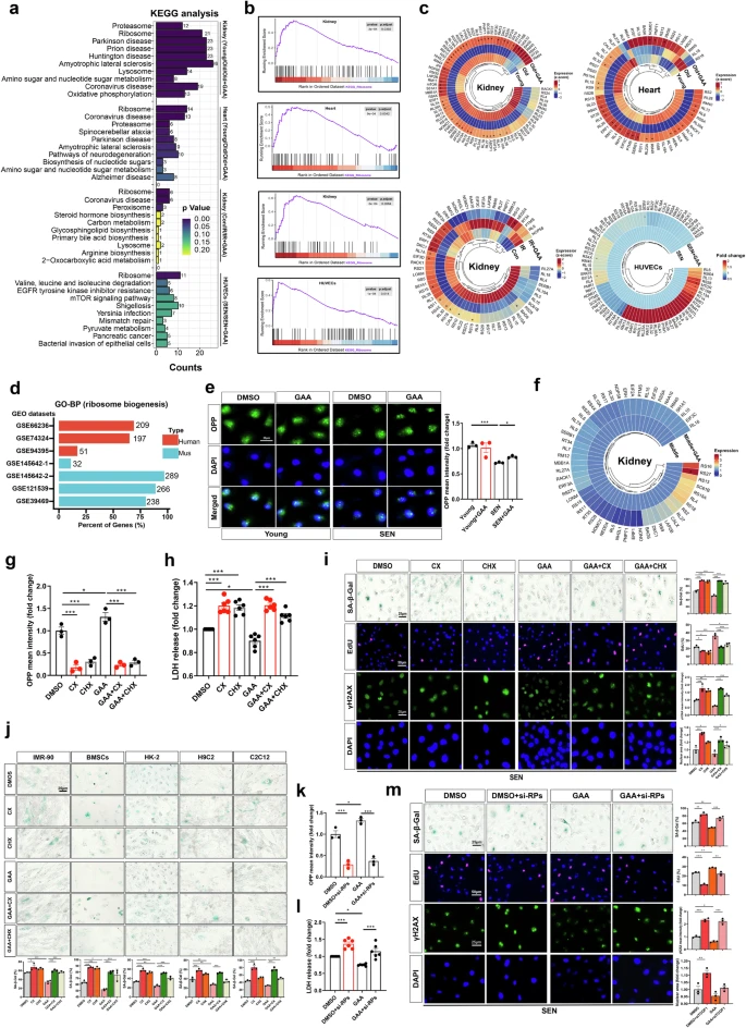 杭州亞運會官方靈芝產(chǎn)品供應(yīng)商|杭州亞運會官方供應(yīng)商|中國靈芝十大品牌|仙客來靈芝|仙客來靈芝破壁孢子粉|仙客來孢子油|仙客來靈芝飲片|仙客來破壁孢子粉|靈芝孢子油|孢子粉|靈芝破壁孢子粉|靈芝|中華老字號