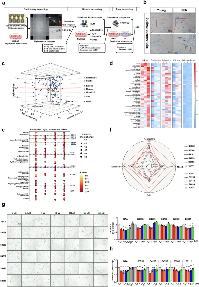 杭州亞運會官方靈芝產(chǎn)品供應(yīng)商|杭州亞運會官方供應(yīng)商|中國靈芝十大品牌|仙客來靈芝|仙客來靈芝破壁孢子粉|仙客來孢子油|仙客來靈芝飲片|仙客來破壁孢子粉|靈芝孢子油|孢子粉|靈芝破壁孢子粉|靈芝|中華老字號