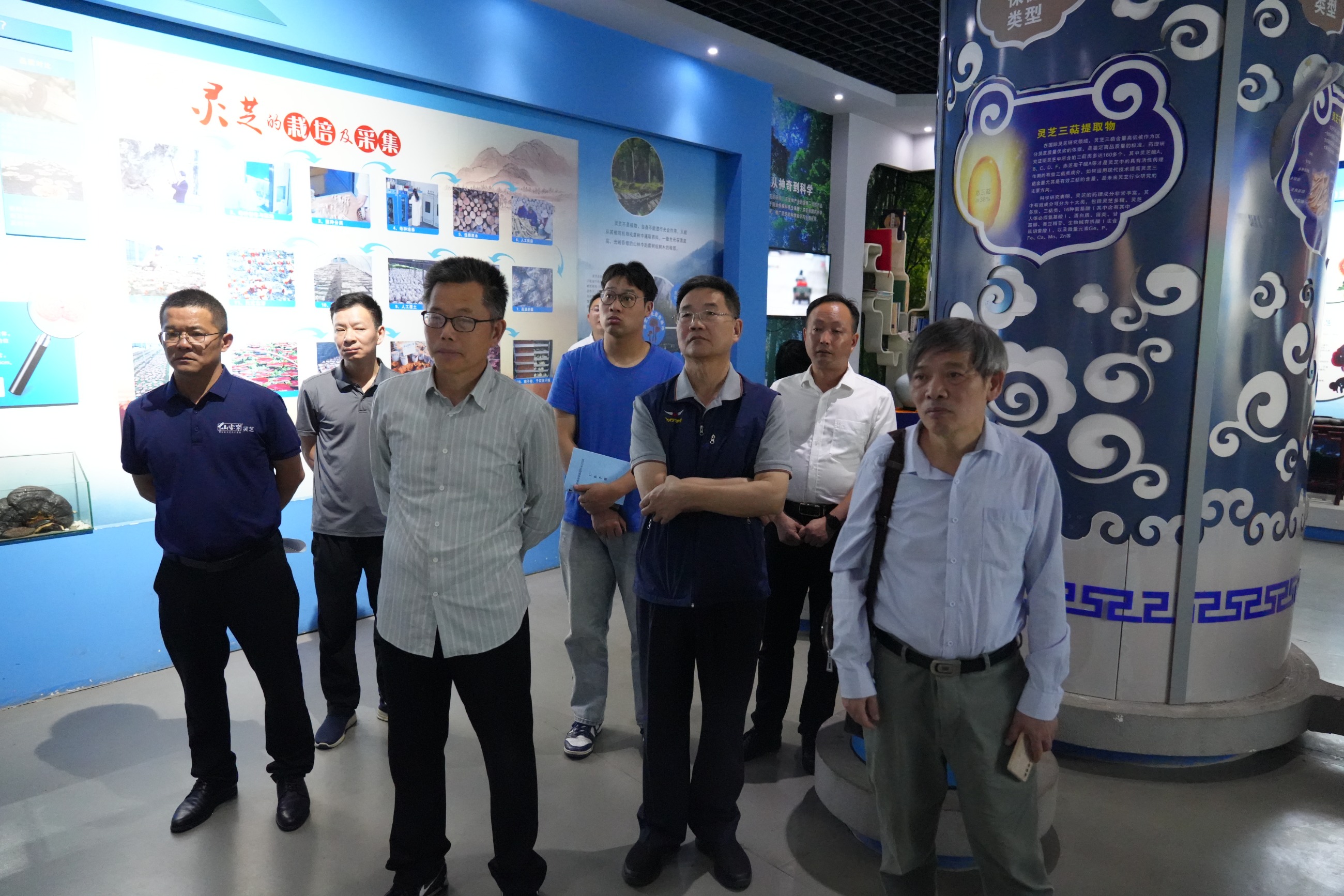 杭州亞運(yùn)會(huì)官方靈芝產(chǎn)品供應(yīng)商|杭州亞運(yùn)會(huì)官方供應(yīng)商|中國(guó)靈芝十大品牌|仙客來(lái)靈芝|仙客來(lái)靈芝破壁孢子粉|仙客來(lái)孢子油|仙客來(lái)靈芝飲片|仙客來(lái)破壁孢子粉|靈芝孢子油|孢子粉|靈芝破壁孢子粉|靈芝|中華老字號(hào) 杭州亞運(yùn)會(huì)官方靈芝產(chǎn)品供應(yīng)商|杭州亞運(yùn)會(huì)官方供應(yīng)商|中國(guó)靈芝十大品牌|仙客來(lái)靈芝|仙客來(lái)靈芝破壁孢子粉|仙客來(lái)孢子油|仙客來(lái)靈芝飲片|仙客來(lái)破壁孢子粉|靈芝孢子油|孢子粉|靈芝破壁孢子粉|靈芝|中華老字號(hào)