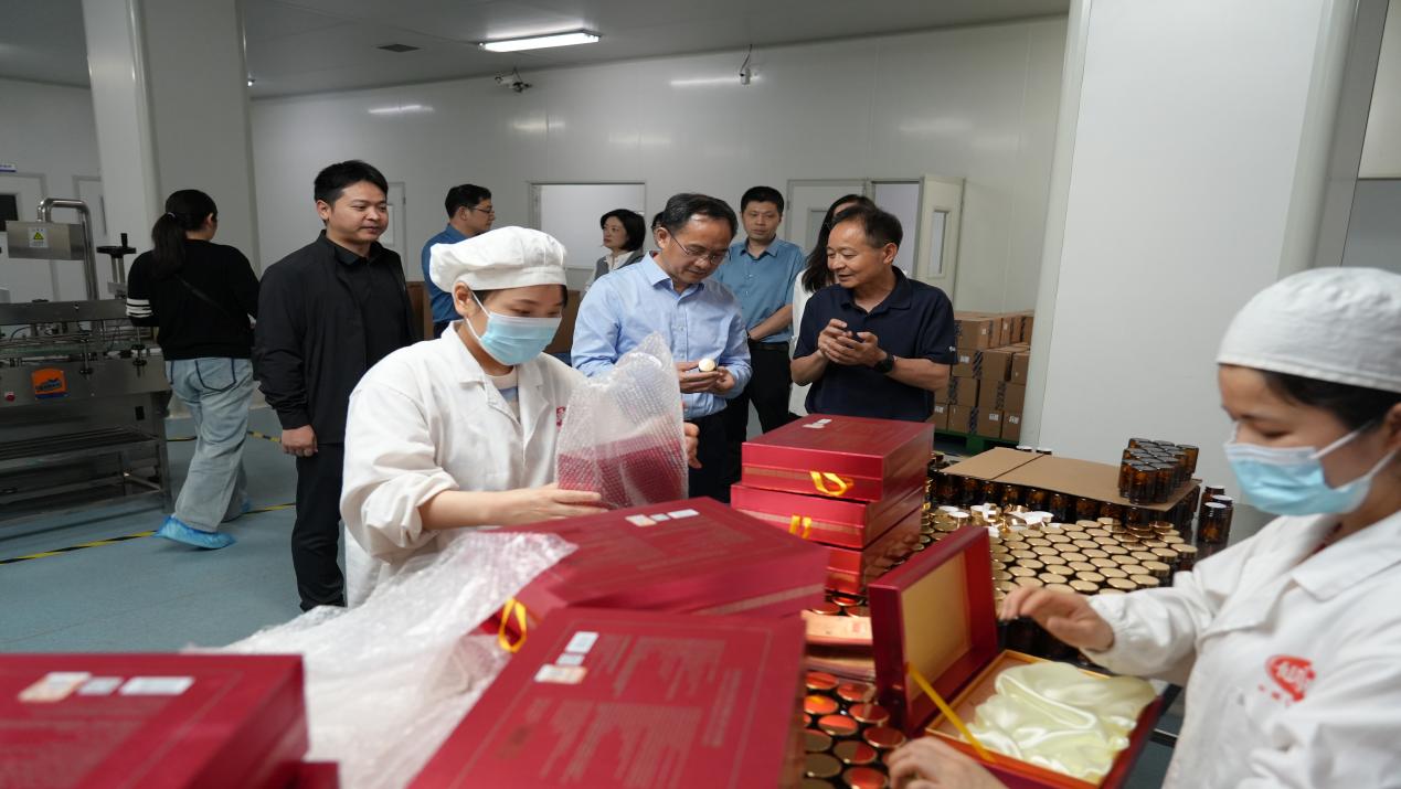 杭州亞運會官方靈芝產(chǎn)品供應商|杭州亞運會官方供應商|中國靈芝十大品牌|仙客來靈芝|仙客來靈芝破壁孢子粉|仙客來孢子油|仙客來靈芝飲片|仙客來破壁孢子粉|靈芝孢子油|孢子粉|靈芝破壁孢子粉|靈芝|中華老字號