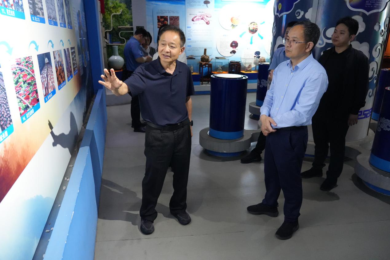 杭州亞運會官方靈芝產(chǎn)品供應商|杭州亞運會官方供應商|中國靈芝十大品牌|仙客來靈芝|仙客來靈芝破壁孢子粉|仙客來孢子油|仙客來靈芝飲片|仙客來破壁孢子粉|靈芝孢子油|孢子粉|靈芝破壁孢子粉|靈芝|中華老字號