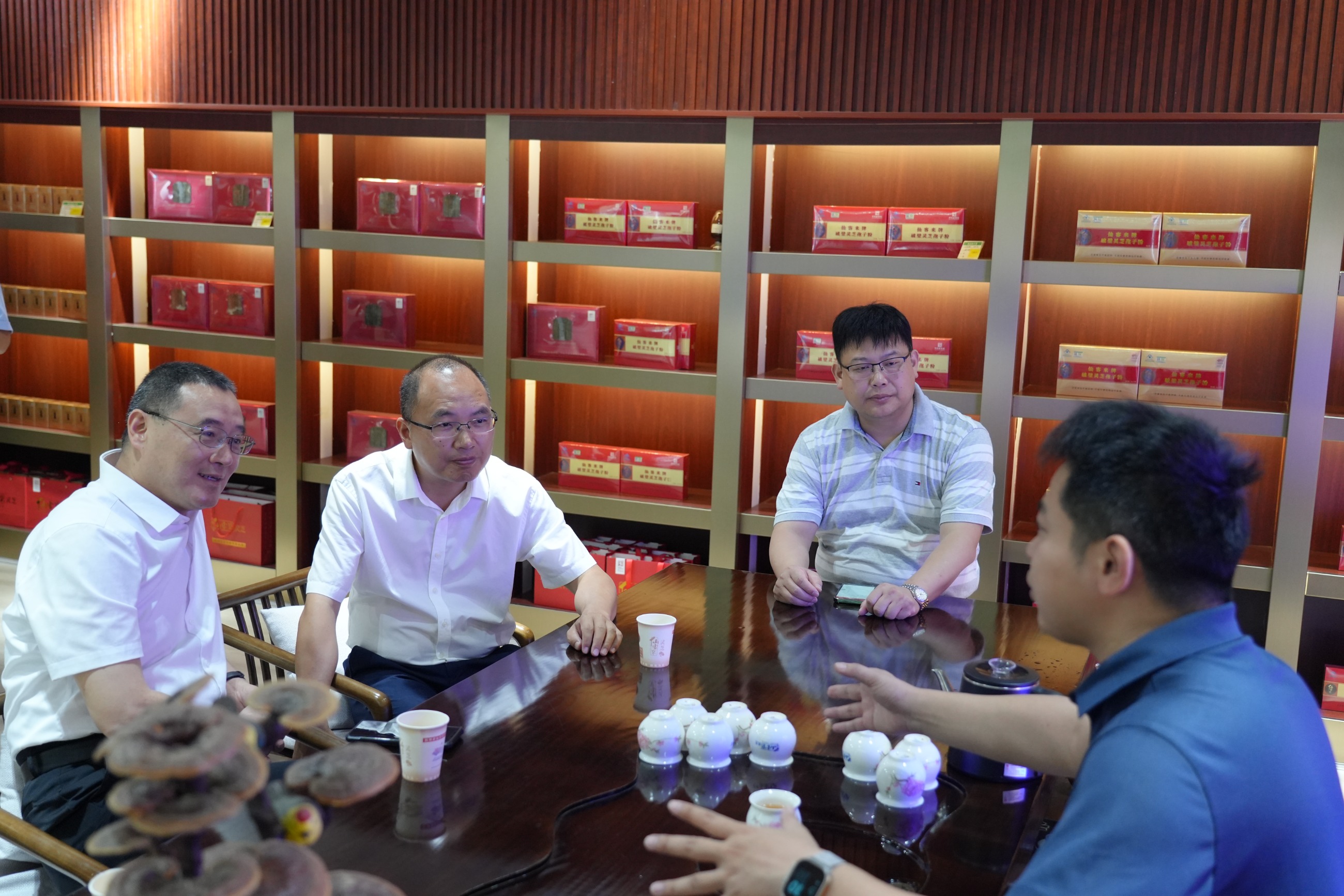 杭州亞運會官方靈芝產品供應商|杭州亞運會官方供應商|中國靈芝十大品牌|仙客來靈芝|仙客來靈芝破壁孢子粉|仙客來孢子油|仙客來靈芝飲片|仙客來破壁孢子粉|靈芝孢子油|孢子粉|靈芝破壁孢子粉|靈芝|中華老字號