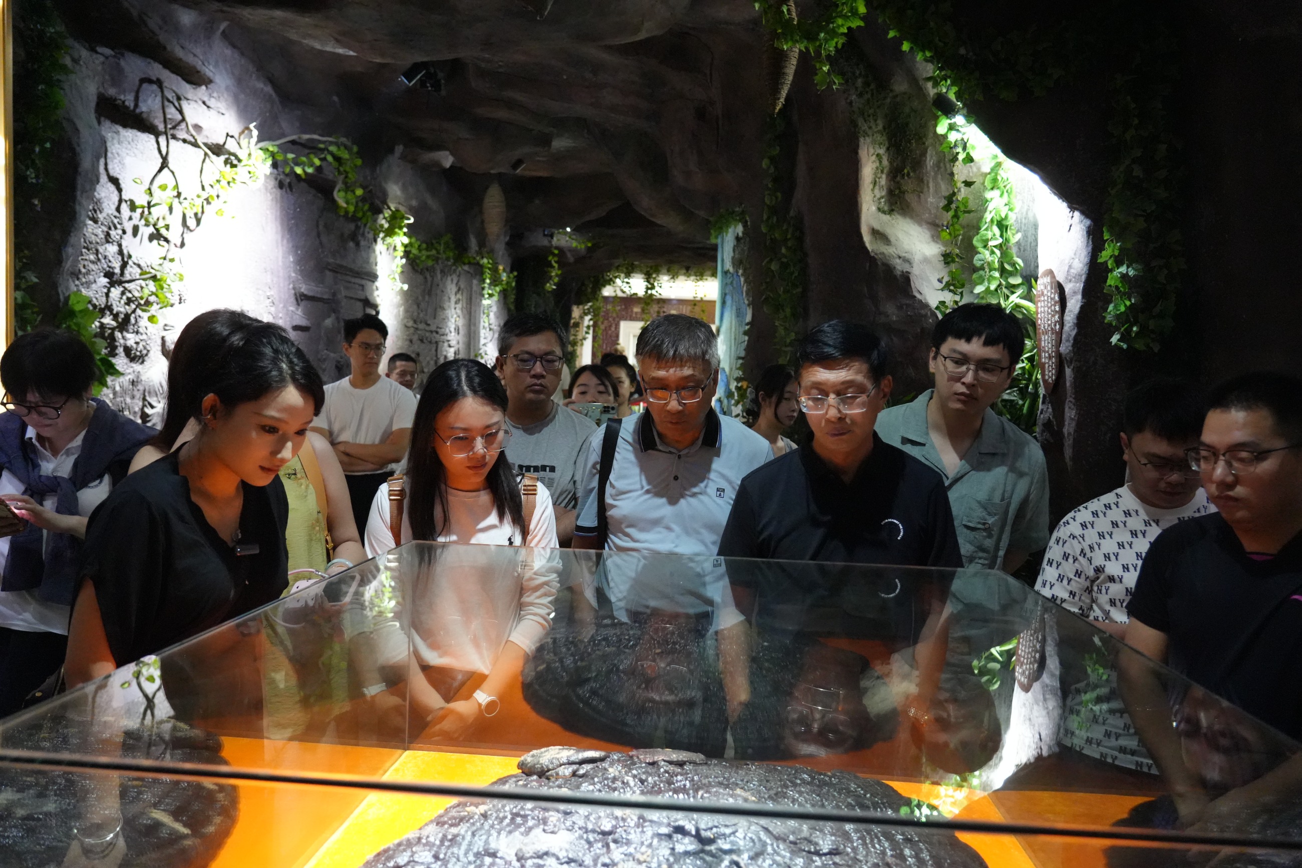 杭州亞運(yùn)會(huì)官方靈芝產(chǎn)品供應(yīng)商|杭州亞運(yùn)會(huì)官方供應(yīng)商|中國(guó)靈芝十大品牌|仙客來靈芝|仙客來靈芝破壁孢子粉|仙客來孢子油|仙客來靈芝飲片|仙客來破壁孢子粉|靈芝孢子油|孢子粉|靈芝破壁孢子粉|靈芝|中華老字號(hào)