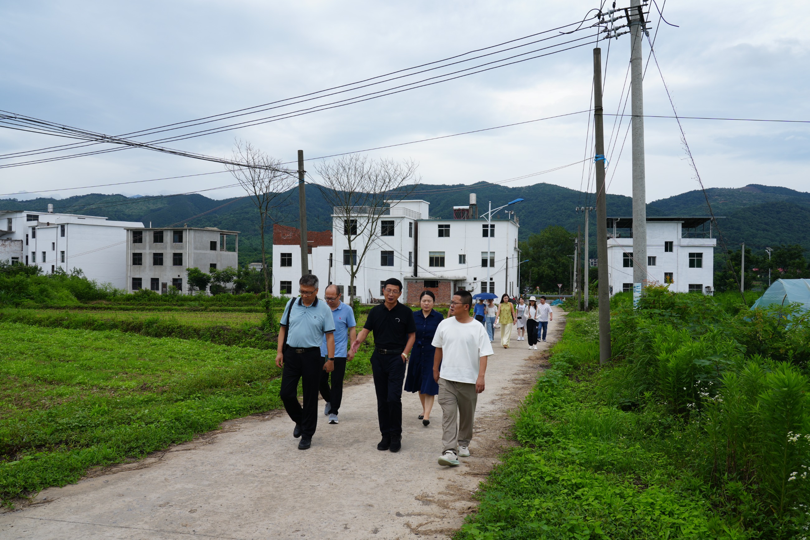 杭州亞運(yùn)會(huì)官方靈芝產(chǎn)品供應(yīng)商|杭州亞運(yùn)會(huì)官方供應(yīng)商|中國(guó)靈芝十大品牌|仙客來靈芝|仙客來靈芝破壁孢子粉|仙客來孢子油|仙客來靈芝飲片|仙客來破壁孢子粉|靈芝孢子油|孢子粉|靈芝破壁孢子粉|靈芝|中華老字號(hào)