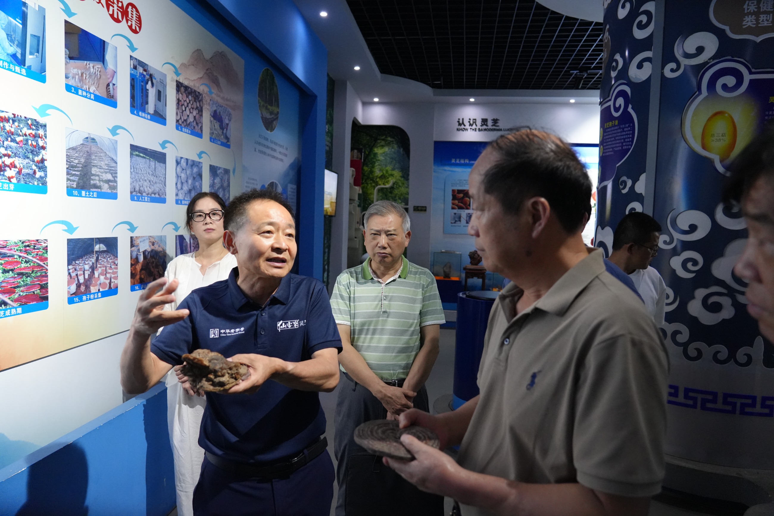 杭州亞運(yùn)會(huì)官方靈芝產(chǎn)品供應(yīng)商|杭州亞運(yùn)會(huì)官方供應(yīng)商|中國(guó)靈芝十大品牌|仙客來(lái)靈芝|仙客來(lái)靈芝破壁孢子粉|仙客來(lái)孢子油|仙客來(lái)靈芝飲片|仙客來(lái)破壁孢子粉|靈芝孢子油|孢子粉|靈芝破壁孢子粉|靈芝|中華老字號(hào)