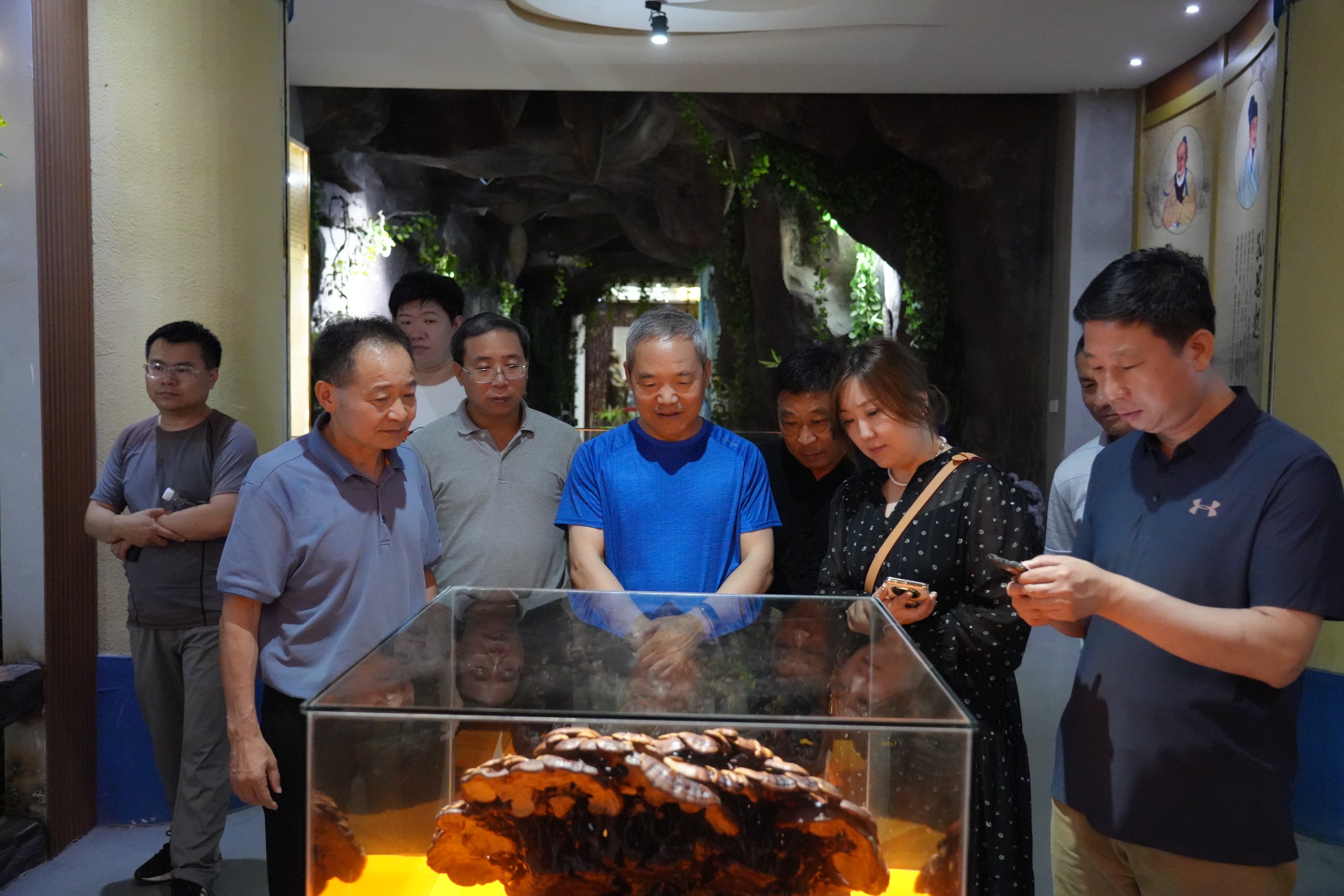 杭州亞運(yùn)會(huì)官方靈芝產(chǎn)品供應(yīng)商|杭州亞運(yùn)會(huì)官方供應(yīng)商|中國(guó)靈芝十大品牌|仙客來(lái)靈芝|仙客來(lái)靈芝破壁孢子粉|仙客來(lái)孢子油|仙客來(lái)靈芝飲片|仙客來(lái)破壁孢子粉|靈芝孢子油|孢子粉|靈芝破壁孢子粉|靈芝|中華老字號(hào)