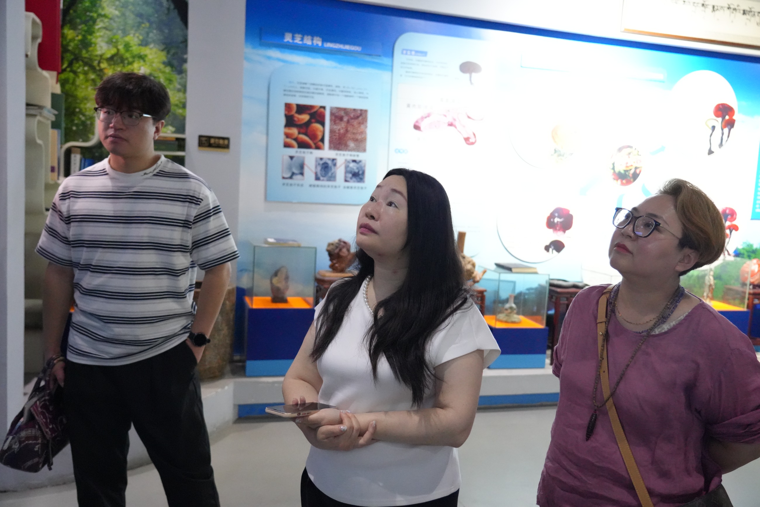 杭州亞運會官方靈芝產品供應商|杭州亞運會官方供應商|中國靈芝十大品牌|仙客來靈芝|仙客來靈芝破壁孢子粉|仙客來孢子油|仙客來靈芝飲片|仙客來破壁孢子粉|靈芝孢子油|孢子粉|靈芝破壁孢子粉|靈芝|中華老字號