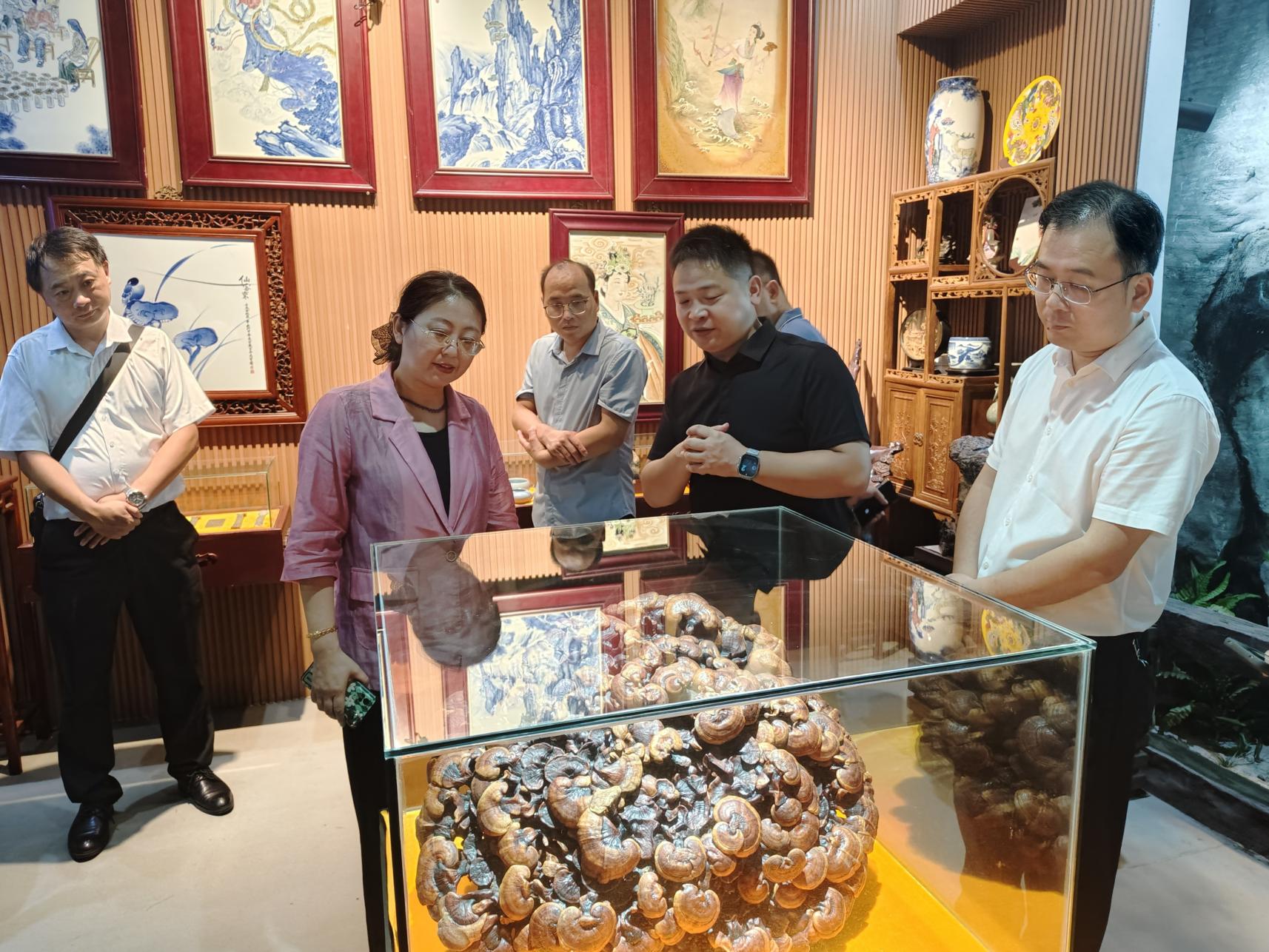 杭州亞運會官方靈芝產(chǎn)品供應商|杭州亞運會官方供應商|中國靈芝十大品牌|仙客來靈芝|仙客來靈芝破壁孢子粉|仙客來孢子油|仙客來靈芝飲片|仙客來破壁孢子粉|靈芝孢子油|孢子粉|靈芝破壁孢子粉|靈芝|中華老字號