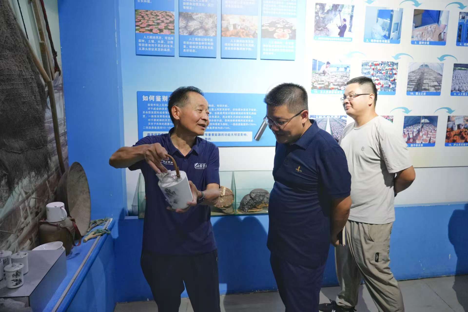 杭州亞運會官方靈芝產(chǎn)品供應(yīng)商|杭州亞運會官方供應(yīng)商|中國靈芝十大品牌|仙客來靈芝|仙客來靈芝破壁孢子粉|仙客來孢子油|仙客來靈芝飲片|仙客來破壁孢子粉|靈芝孢子油|孢子粉|靈芝破壁孢子粉|靈芝|中華老字號