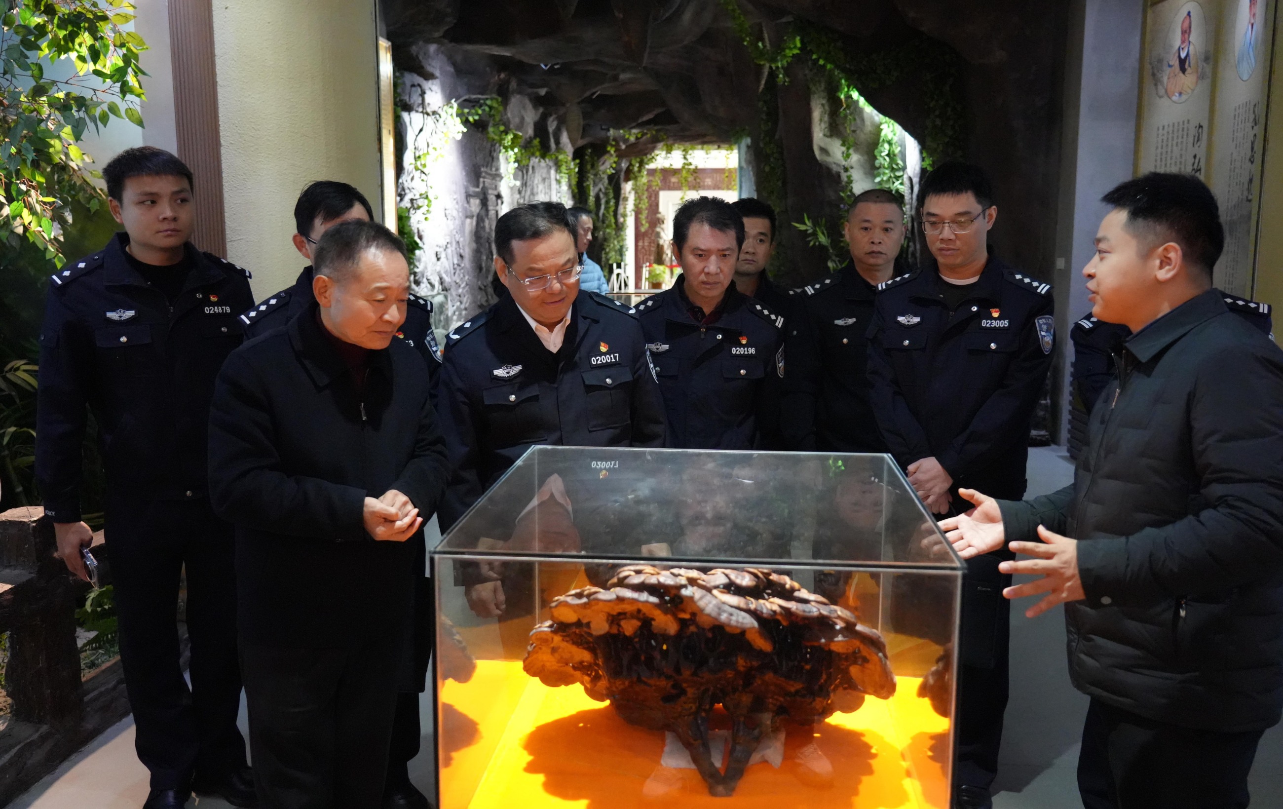 杭州亞運會官方靈芝產品供應商|杭州亞運會官方供應商|中國靈芝十大品牌|仙客來靈芝|仙客來靈芝破壁孢子粉|仙客來孢子油|仙客來靈芝飲片|仙客來破壁孢子粉|靈芝孢子油|孢子粉|靈芝破壁孢子粉|靈芝|中華老字號