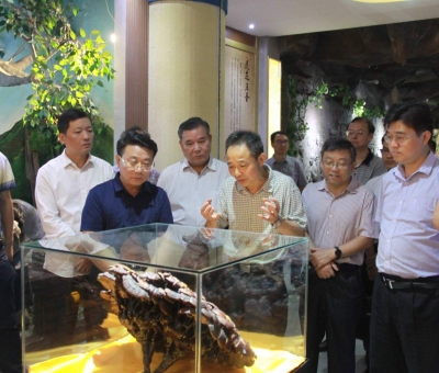 “降成本，優(yōu)環(huán)境”助企業(yè)騰飛——江西省政協(xié)副主席率團調(diào)研仙客來！