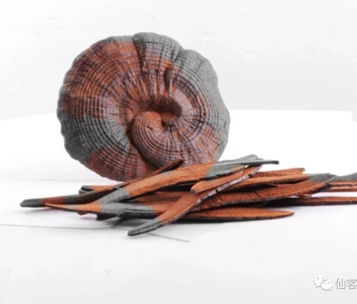 先，鮮，仙，一杯飲盡天下鮮。