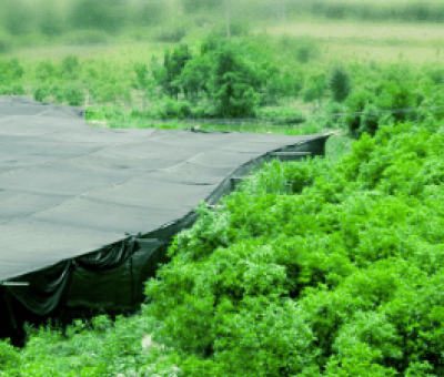 感謝廬山吧，這會(huì)是一場(chǎng)“仙旅情緣”