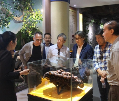 健康“良方”在這！全國(guó)政協(xié)委員、世界著名大學(xué)香港大學(xué) 榮譽(yù)院士孫少文博士蒞臨仙客來公司參觀考察