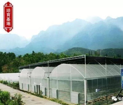 增強(qiáng)免疫力保健食品原料，它排第一