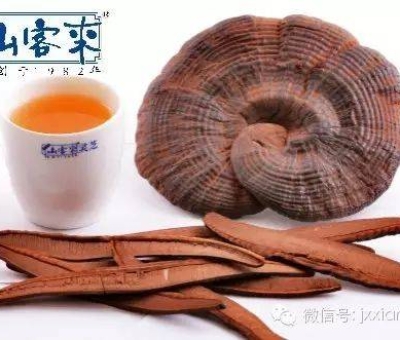 熱潮不斷！仙客來(lái)有機(jī)靈芝被點(diǎn)贊刷屏