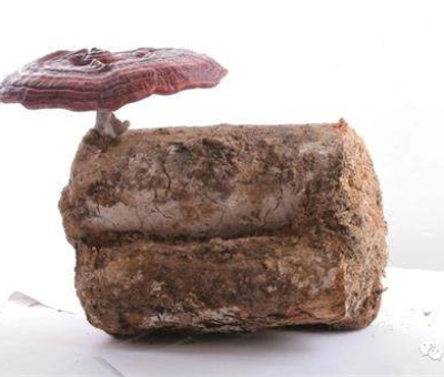 小滿時節(jié)脾胃失調(diào)，如何養(yǎng)生才健康？