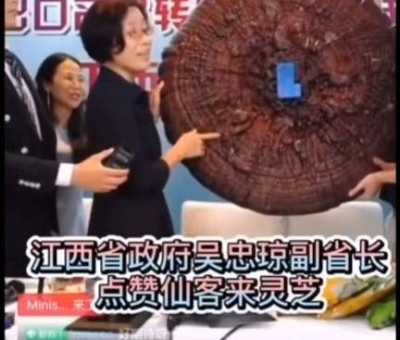 吳忠瓊副省長在直播間為這款名優(yōu)贛品點贊
