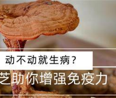 冬病夏治-如何調(diào)養(yǎng)身體？