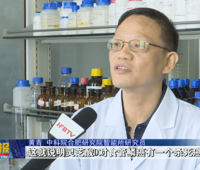 最新研究!中國科學(xué)院在靈芝抗癌藥理研究方面取得重大進(jìn)展