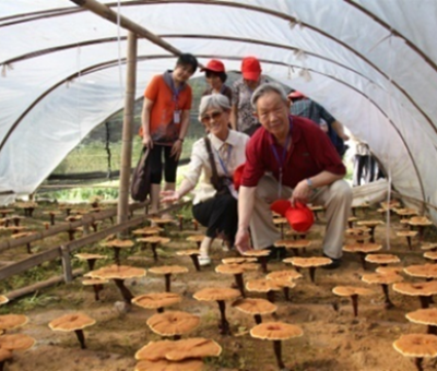 “七一勛章”獲得者張桂梅背后的故事：他們將靈芝磨成粉，送給她拌飯吃，說，吃這些能治病