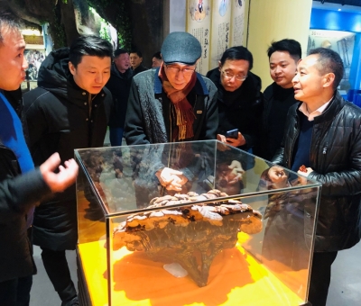 著名音樂家吳頌今參觀采風“仙客來”