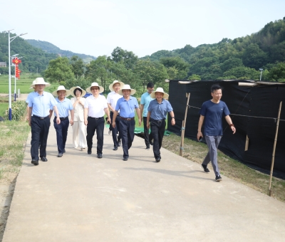 全國工商聯(lián)社會(huì)服務(wù)部部長吳建輝一行蒞臨仙客來靈芝標(biāo)準(zhǔn)化基地等地調(diào)研